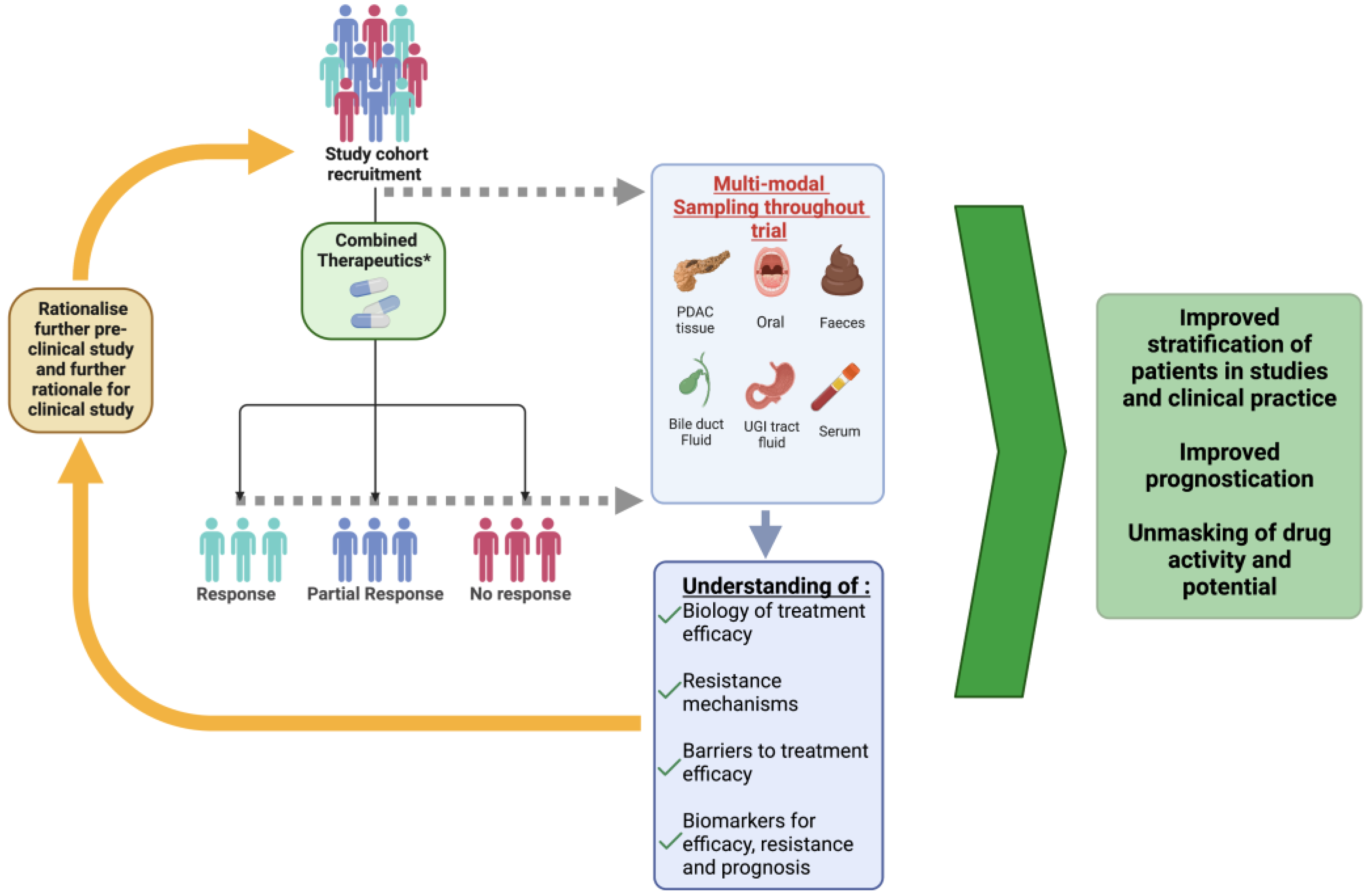 Cancers 15 04265 g002