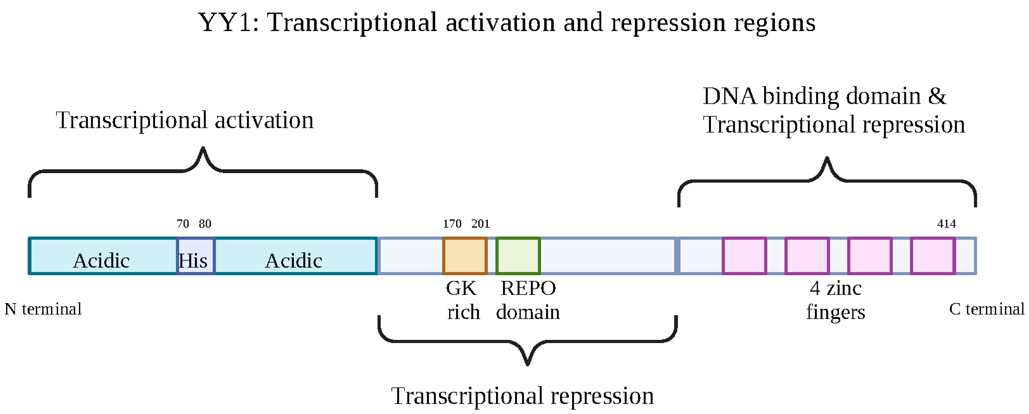 Cancers 15 04267 g001 Cancers 15 04267 g001