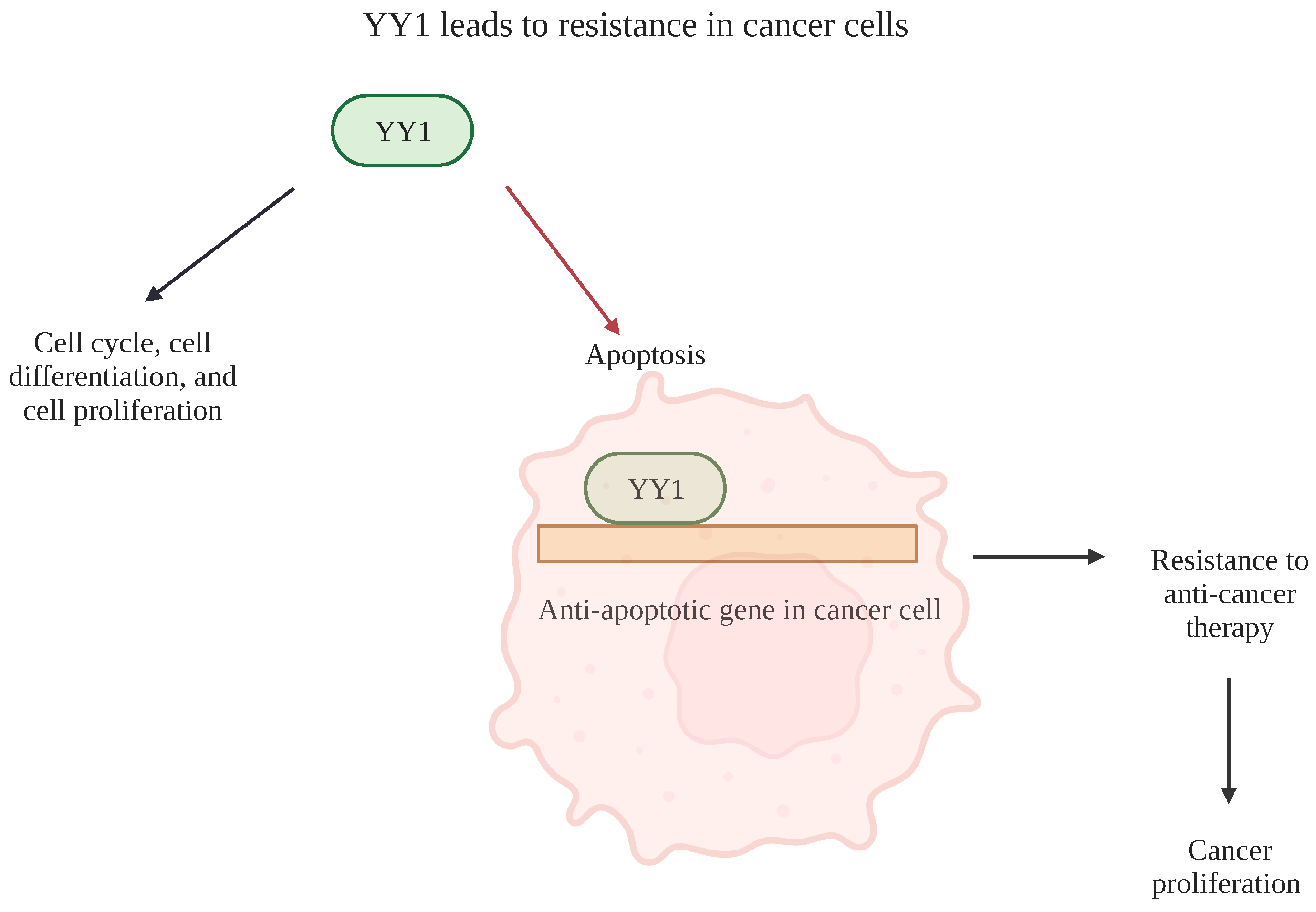 Cancers 15 04267 g004 Cancers 15 04267 g004