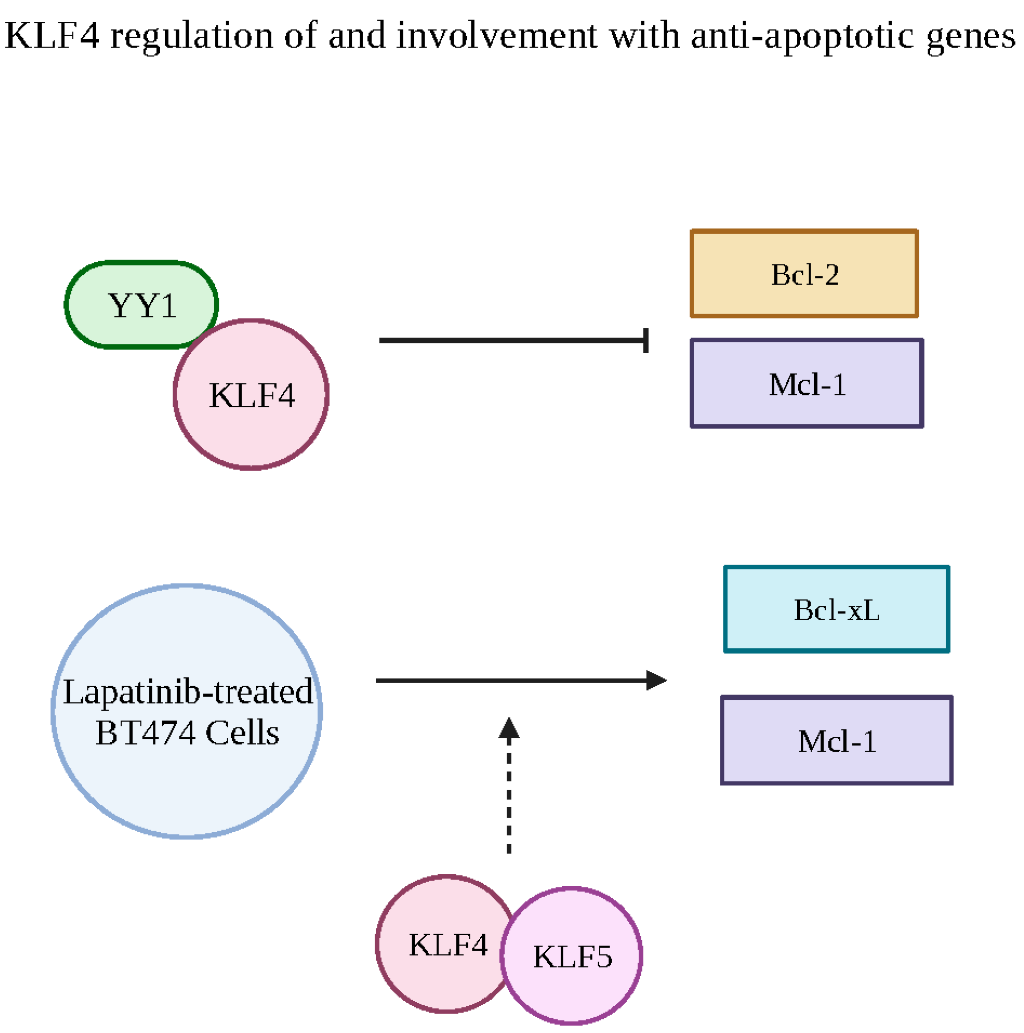 Cancers 15 04267 g007 Cancers 15 04267 g007