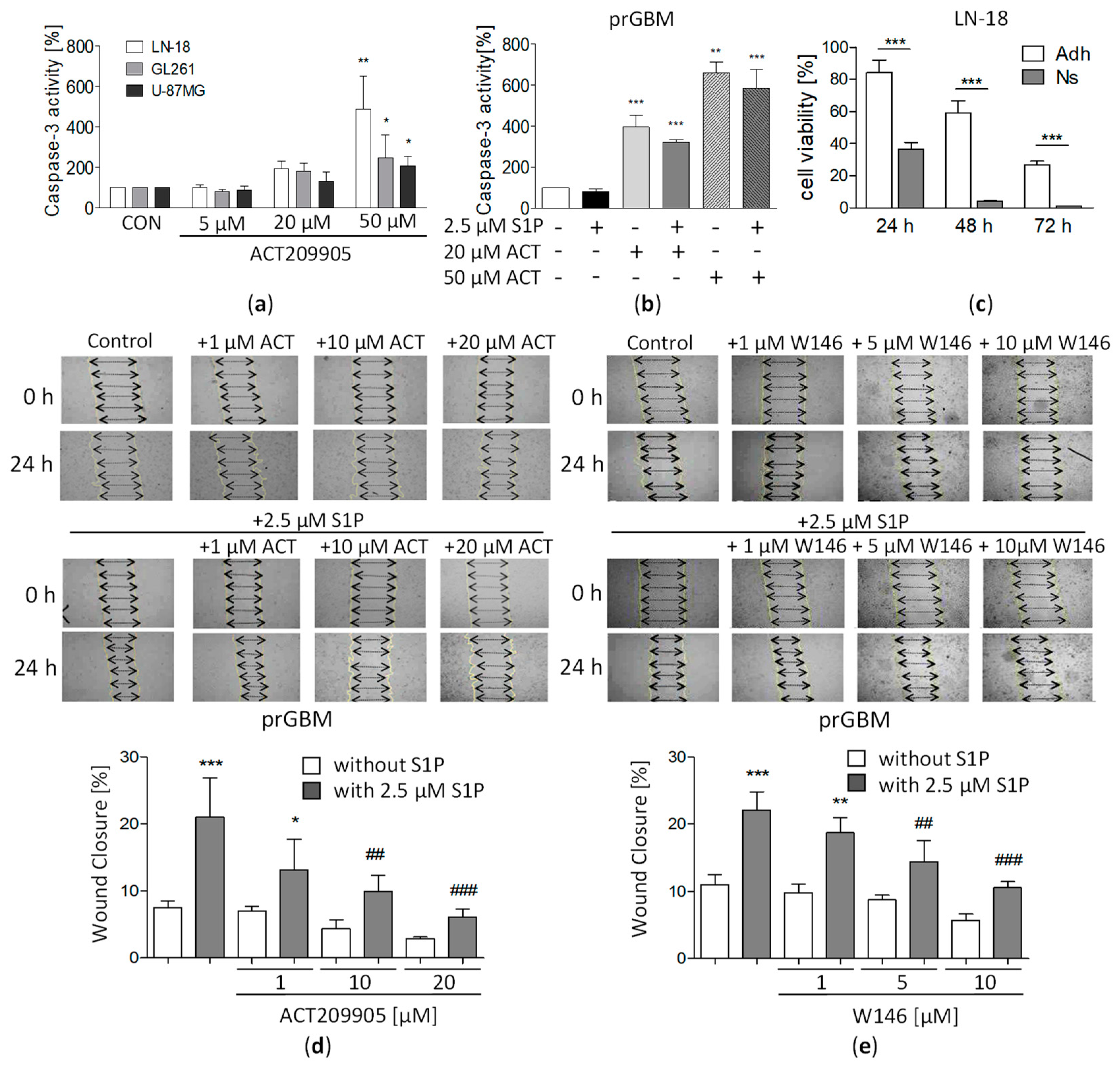 Cancers 15 04273 g002