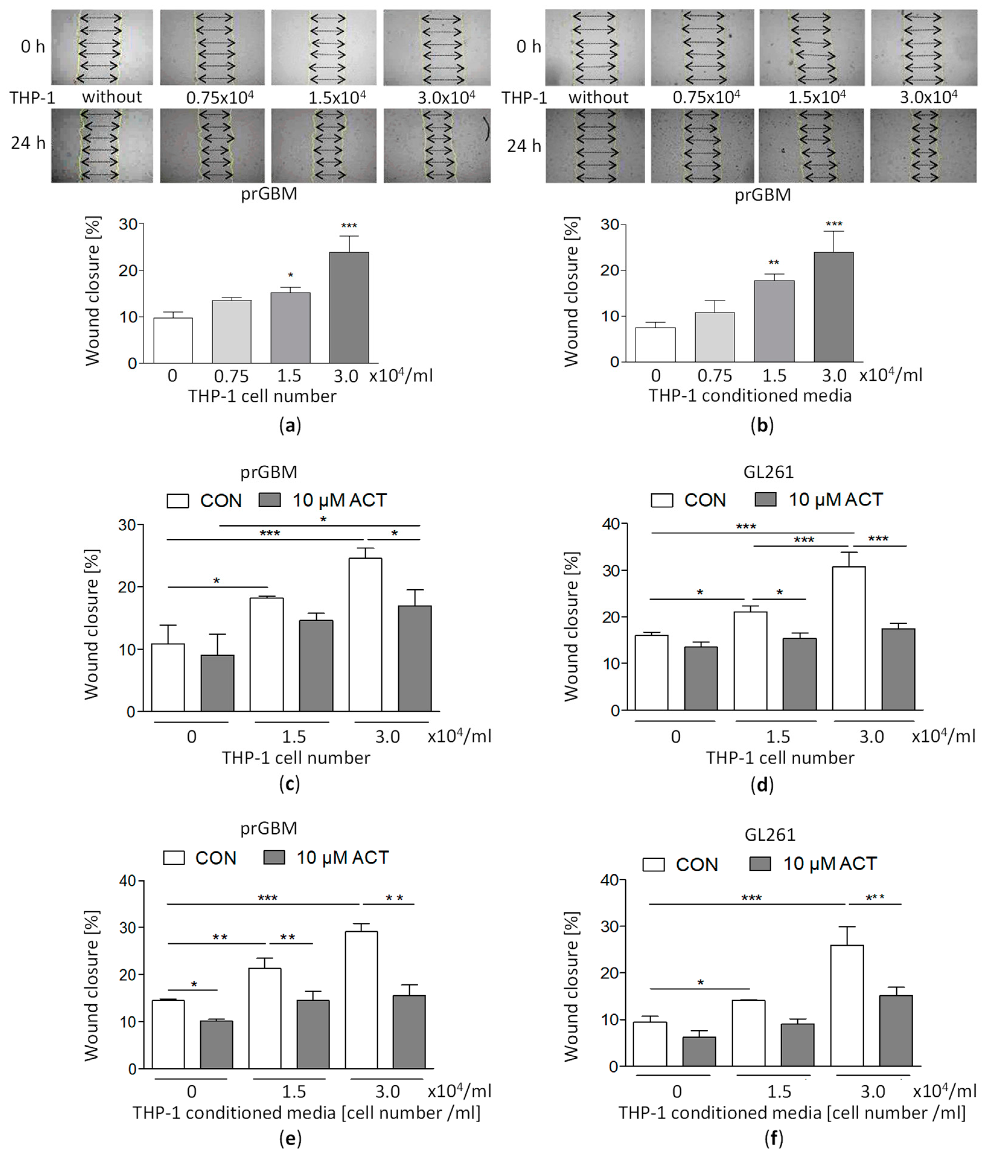 Cancers 15 04273 g004
