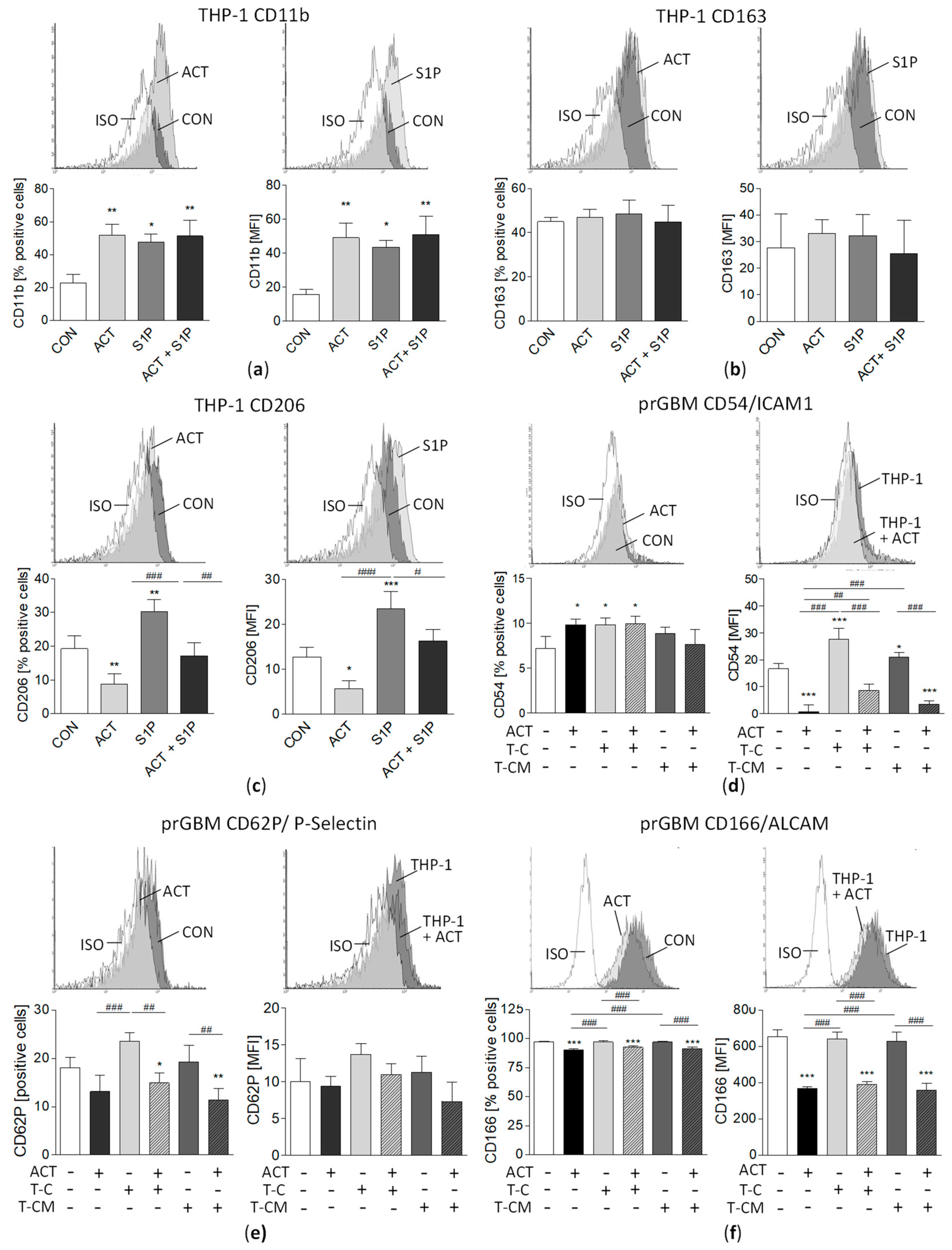 Cancers 15 04273 g007