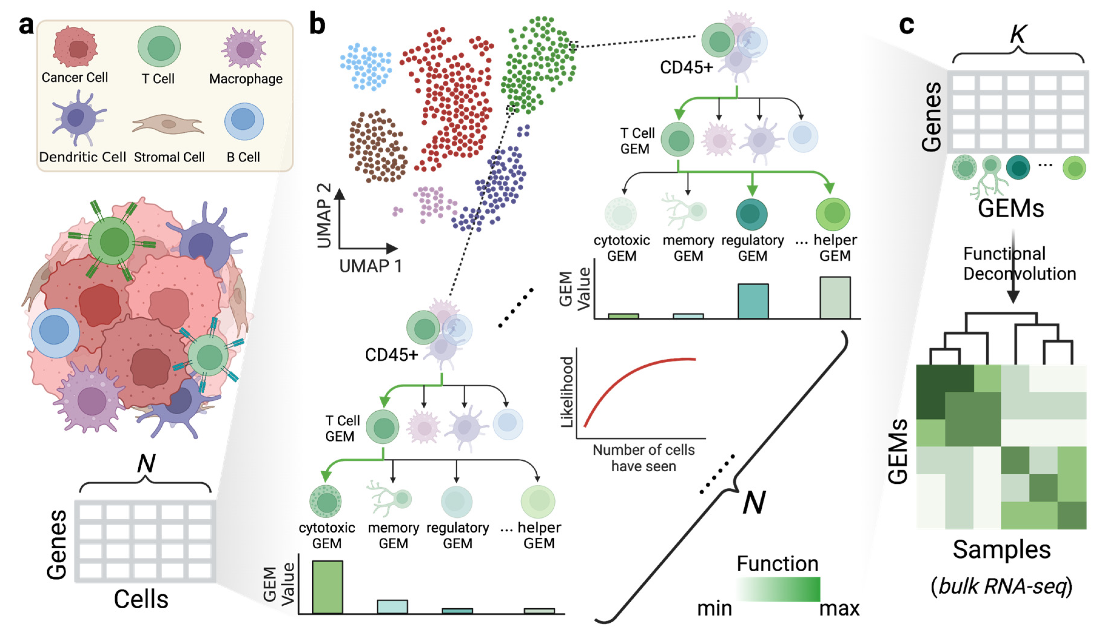 Cancers 15 04277 g001