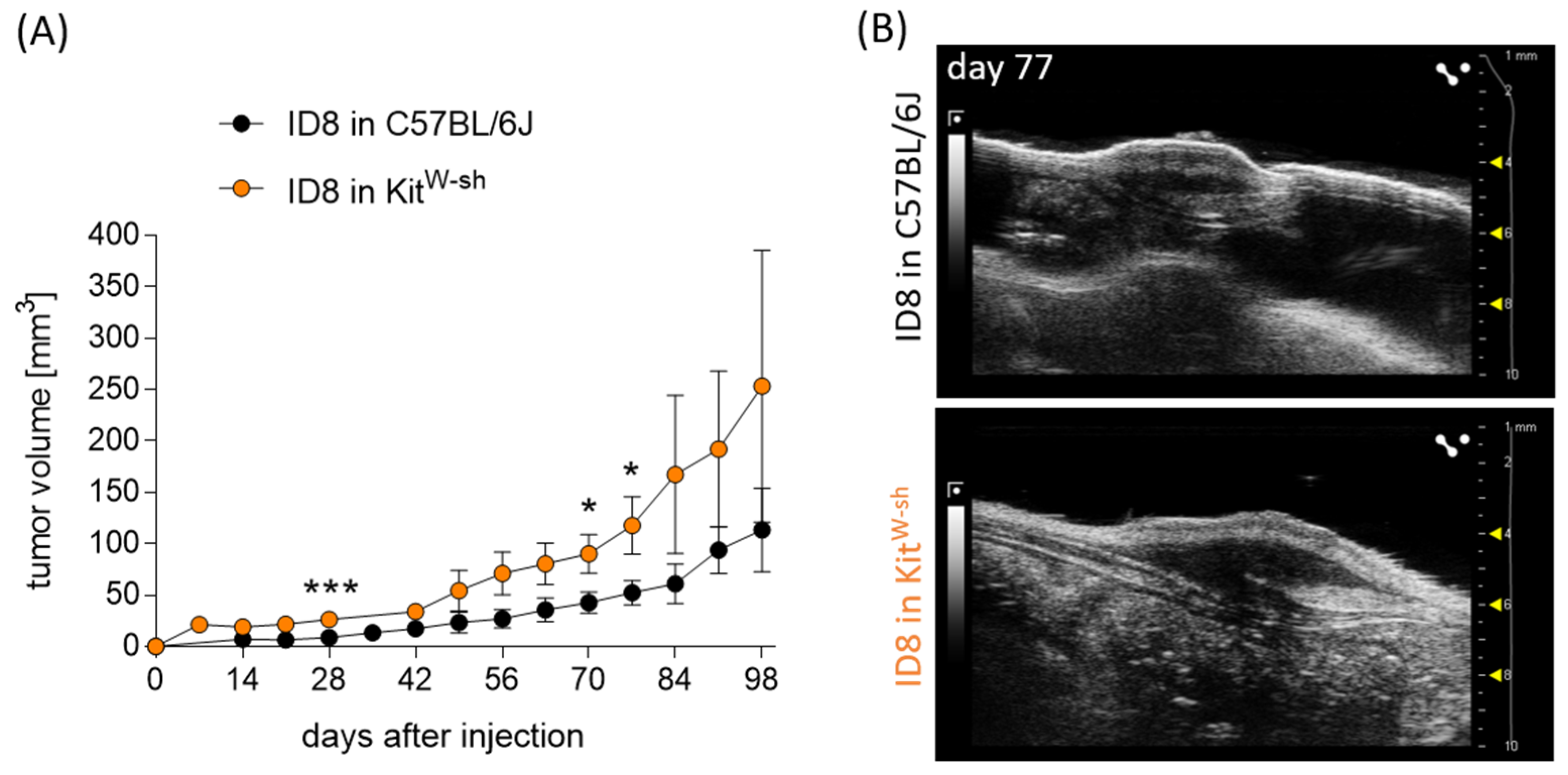 Cancers 15 04278 g004