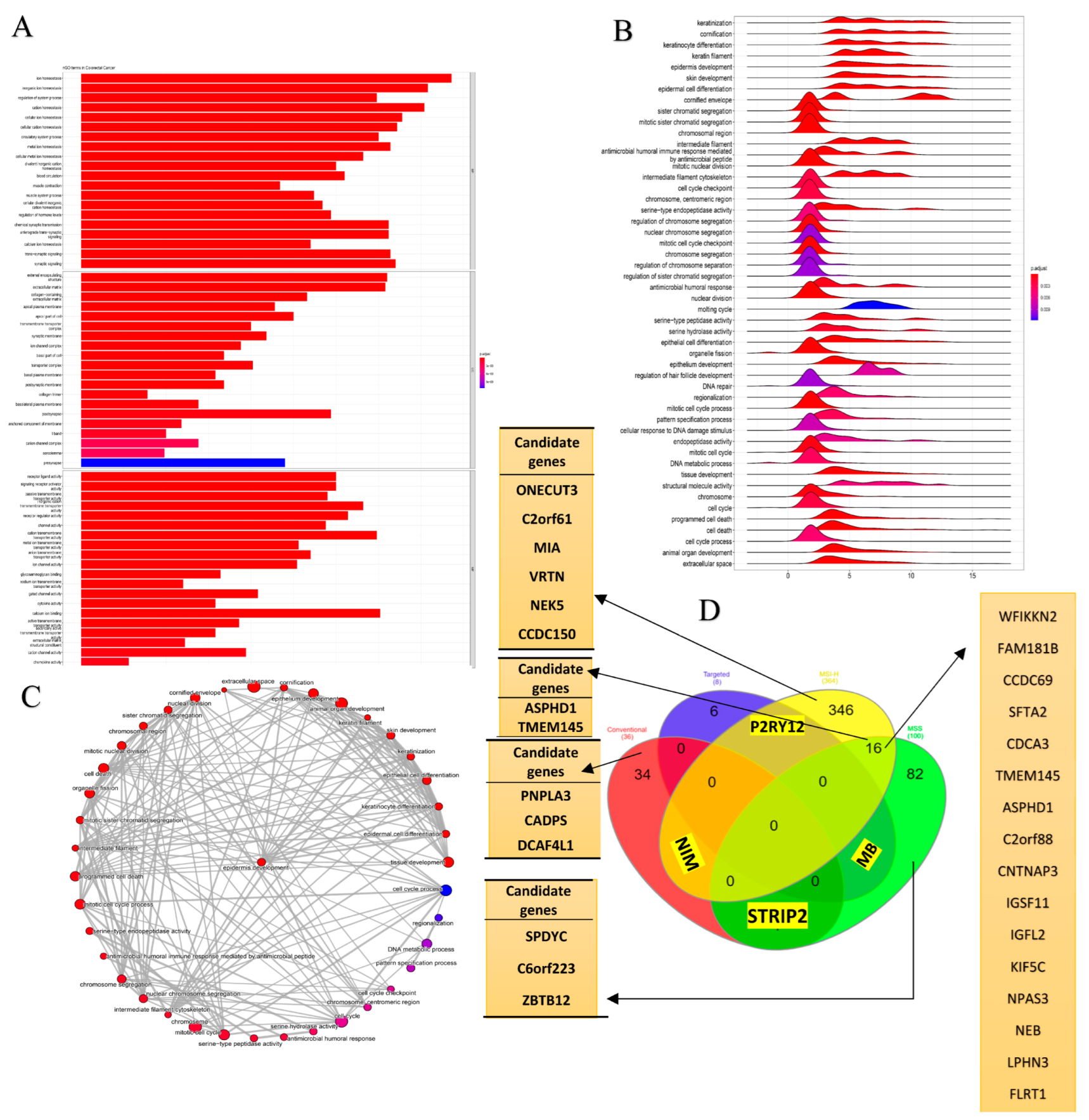 Cancers 15 04300 g004