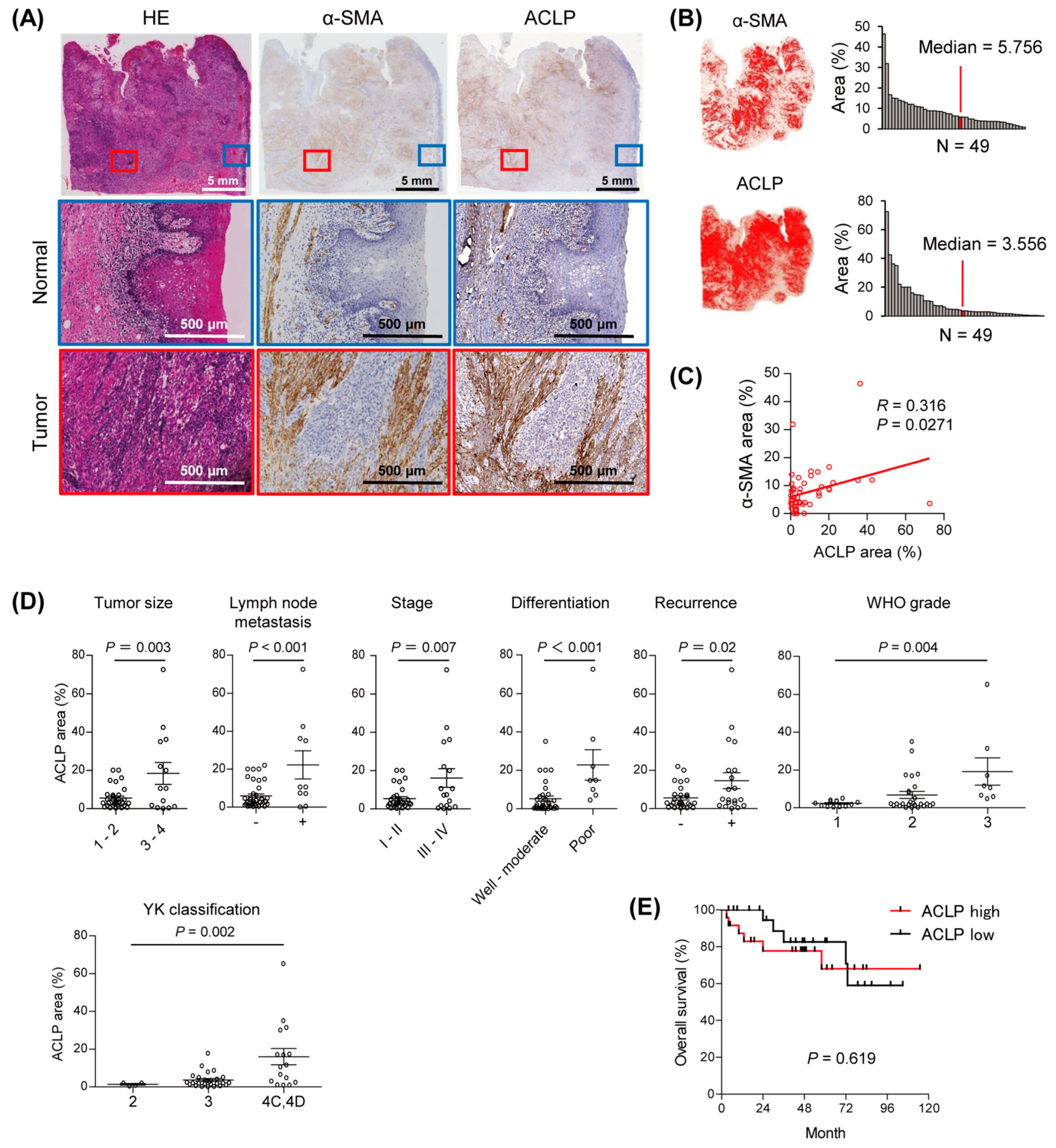 Cancers 15 04303 g001