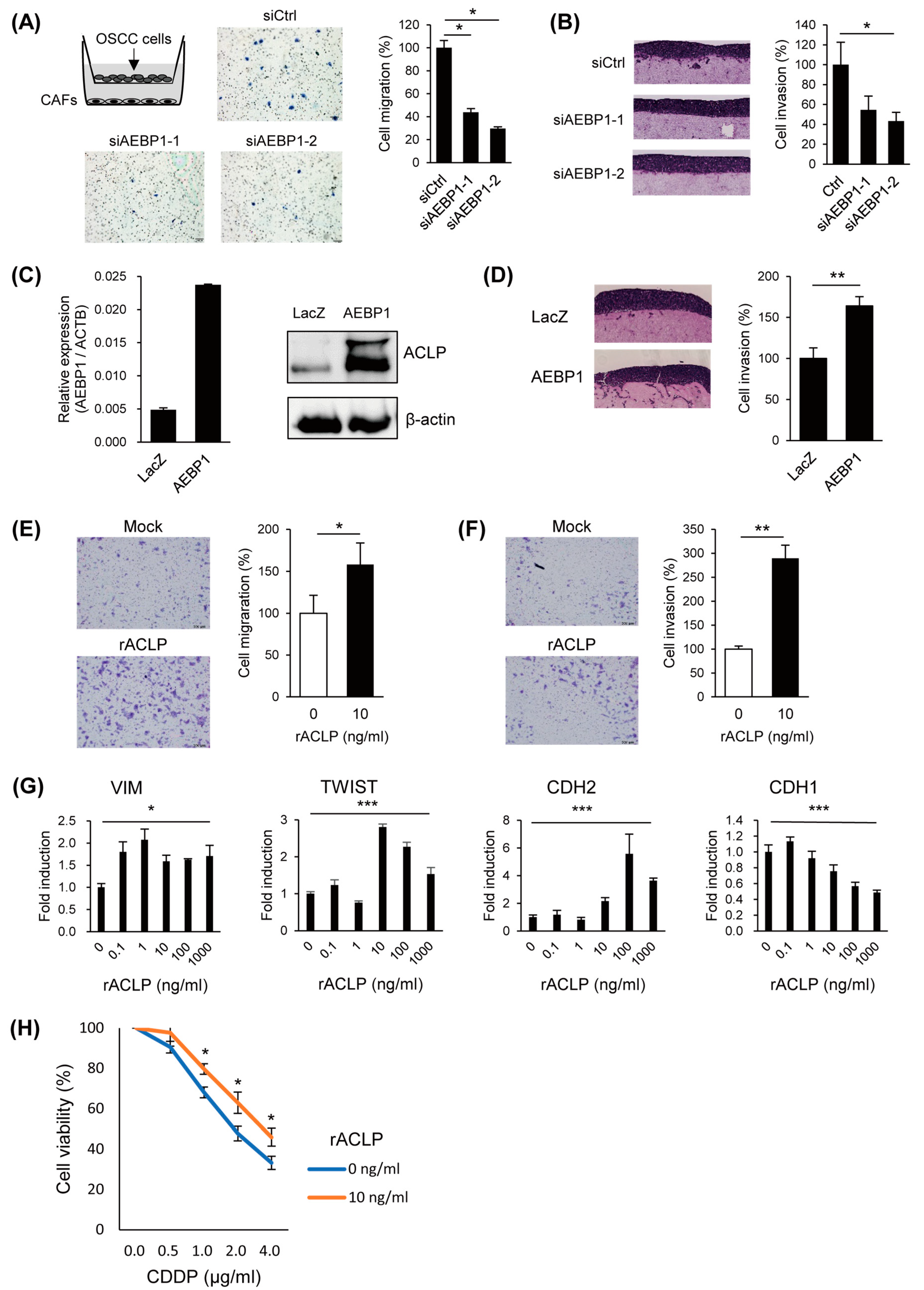 Cancers 15 04303 g004
