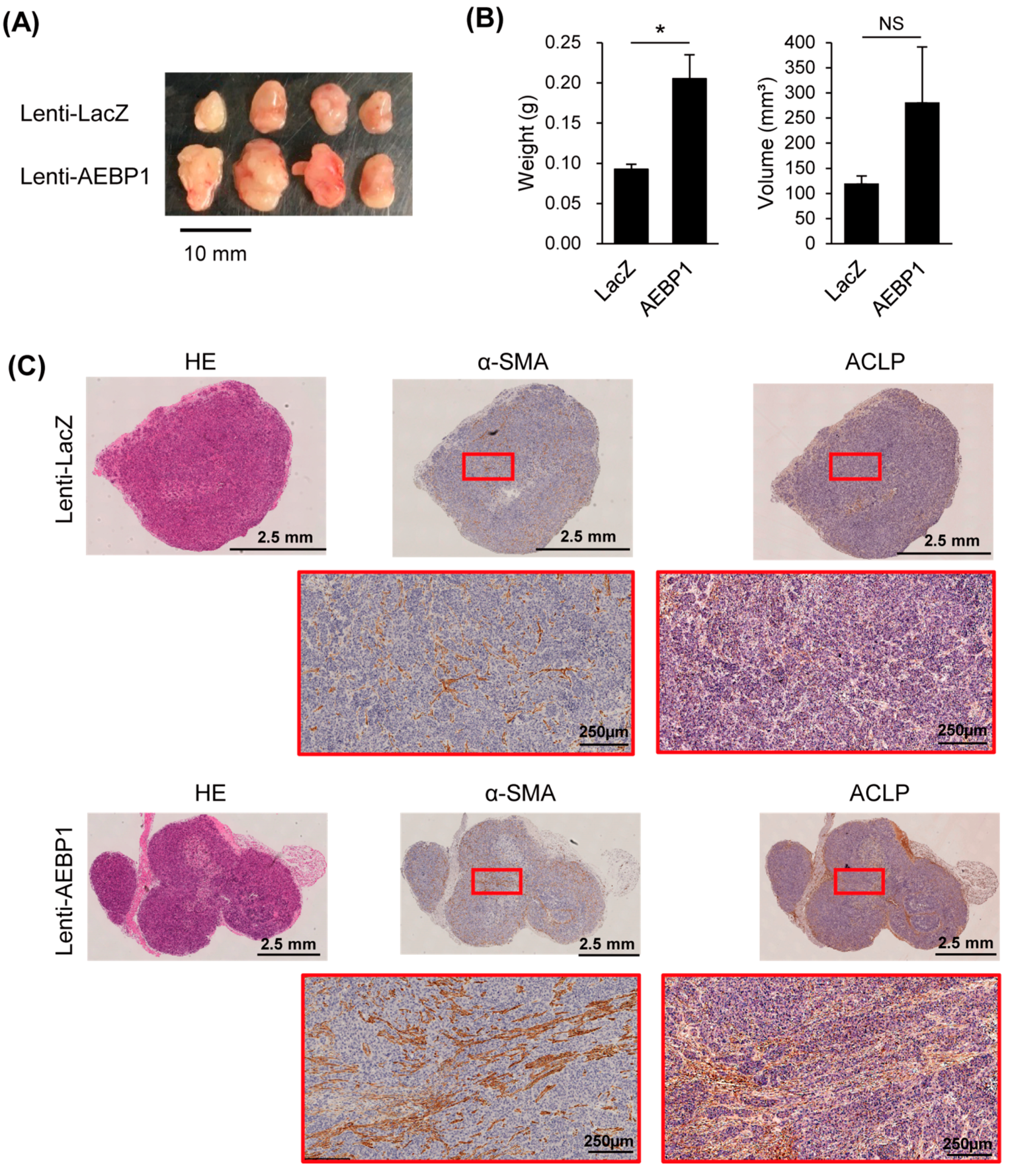 Cancers 15 04303 g005