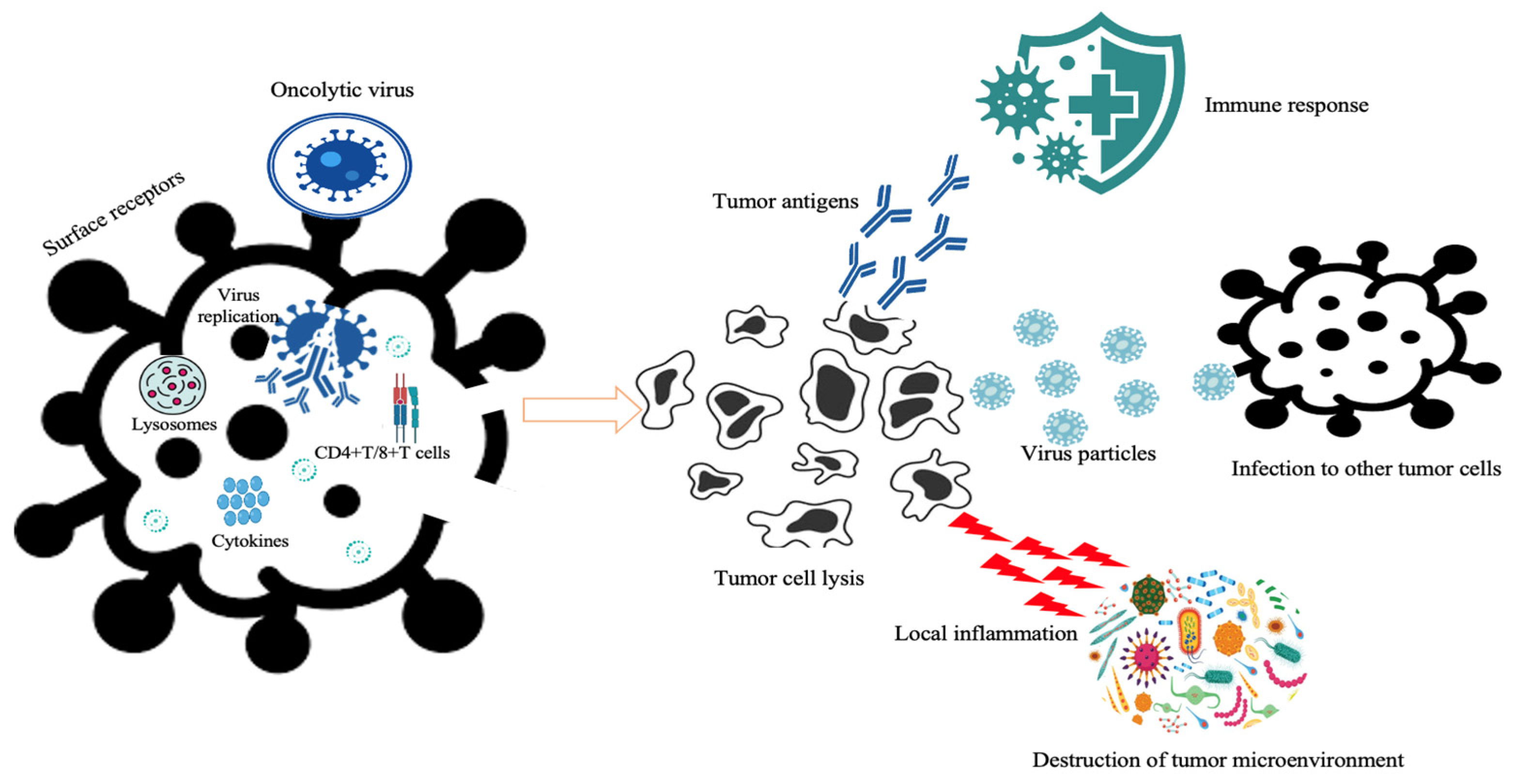 Cancers 15 04304 g001