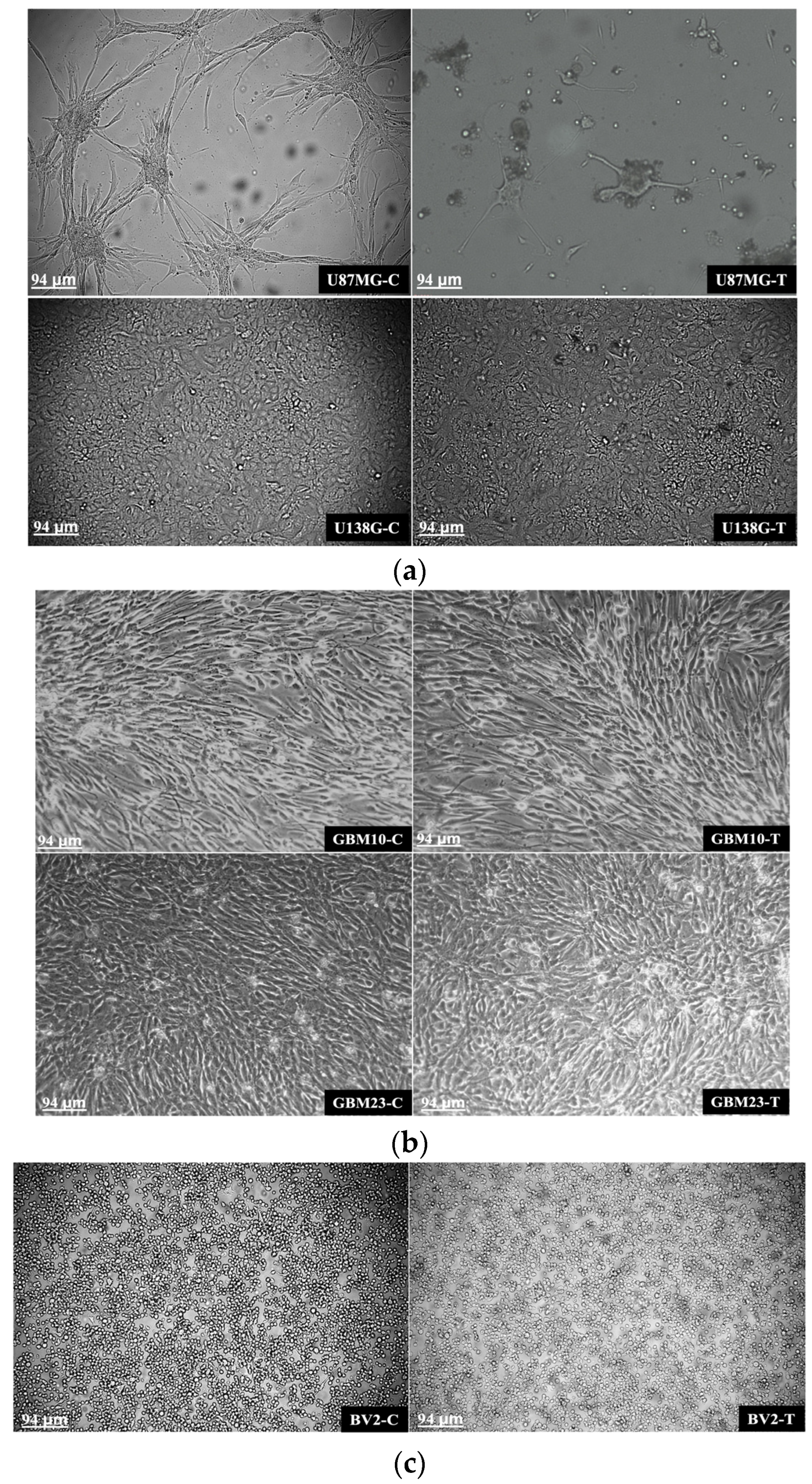 Cancers 15 04304 g002