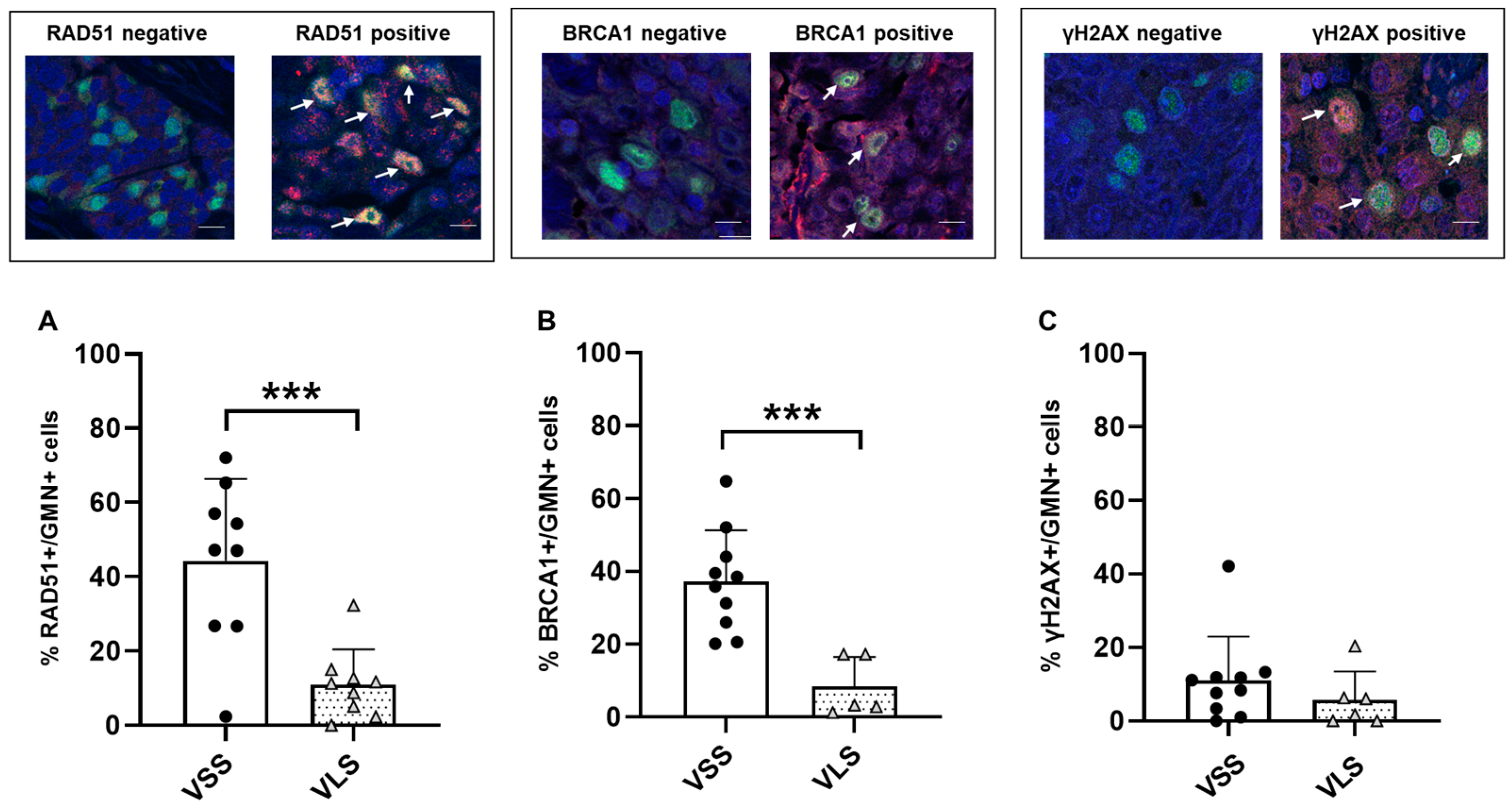 Cancers 15 04309 g002