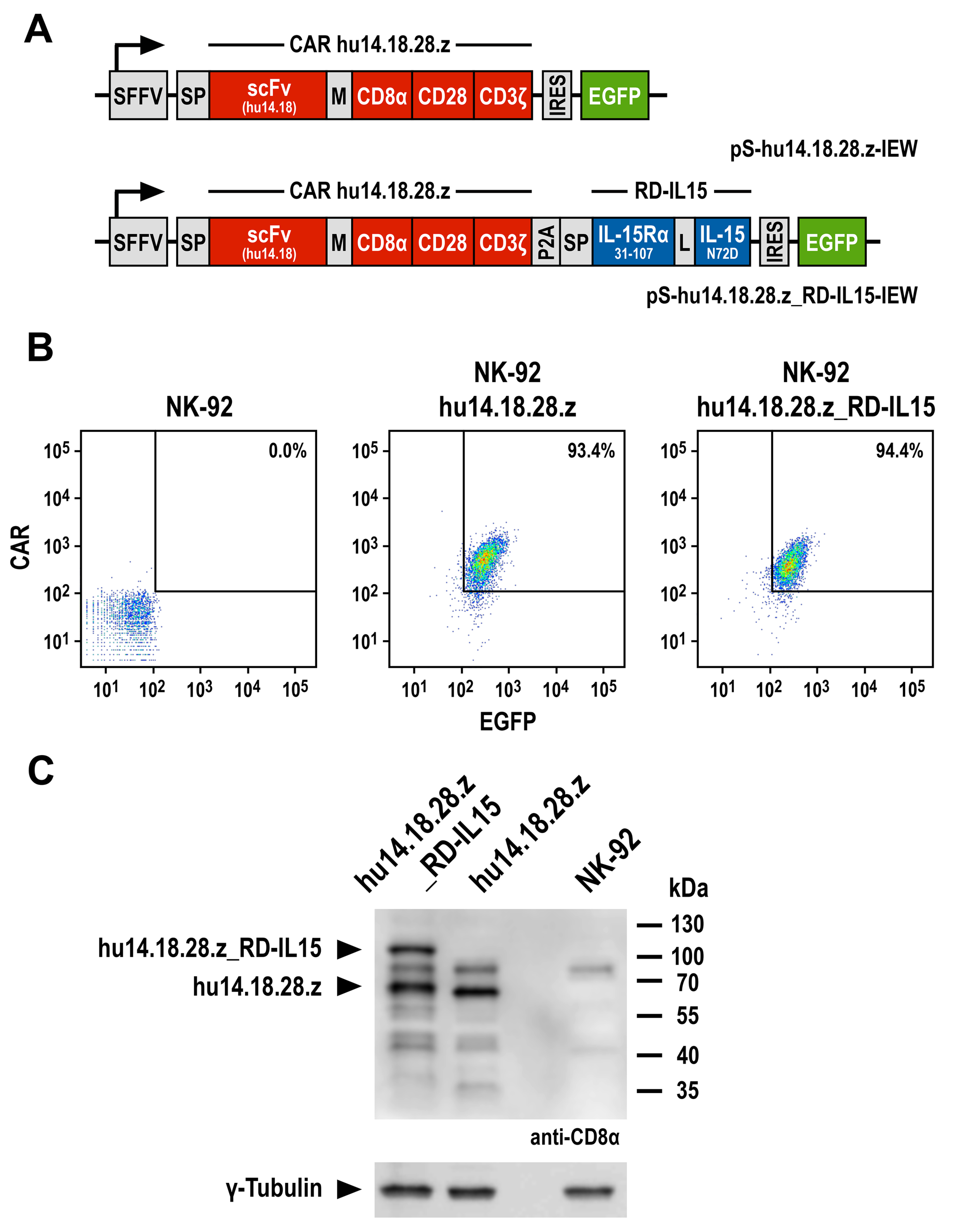 Cancers 15 04310 g001