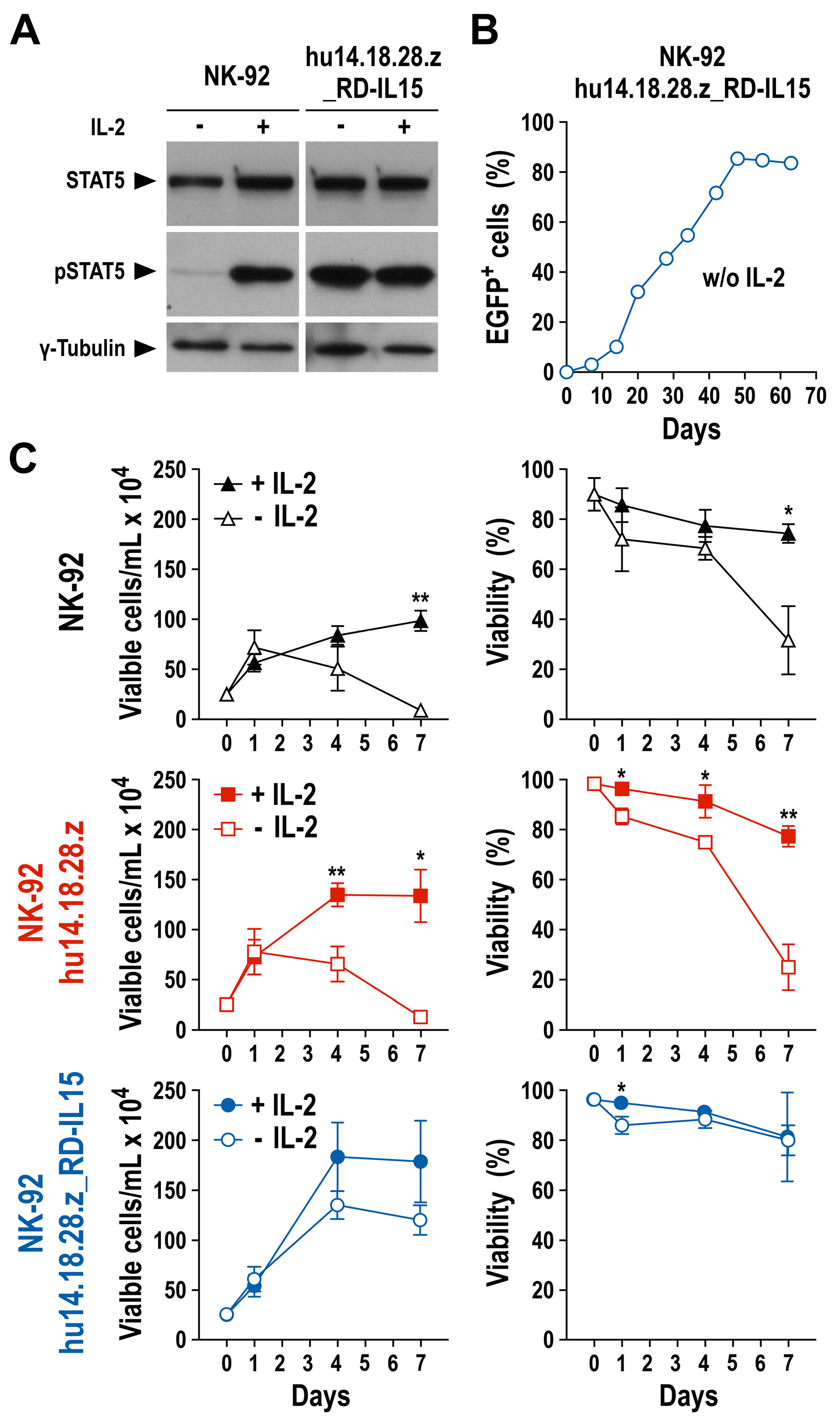Cancers 15 04310 g004