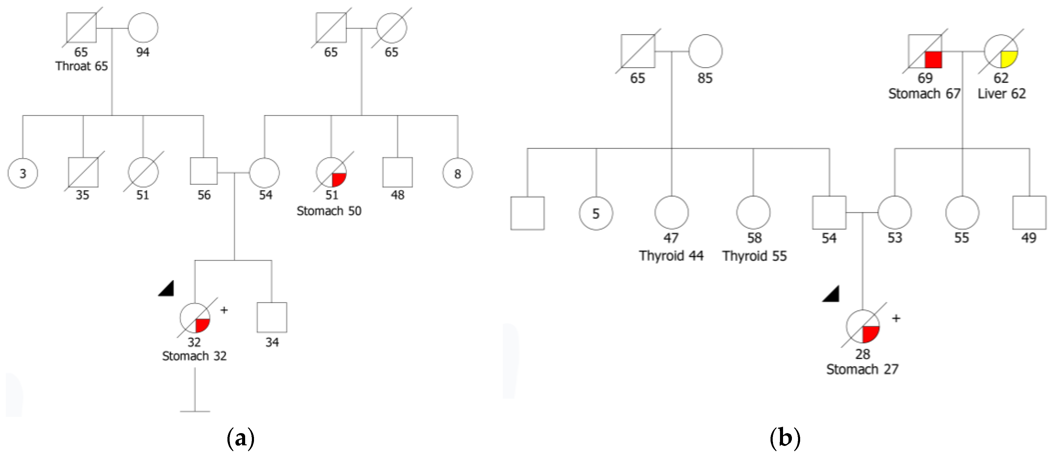 Cancers 15 04313 g002