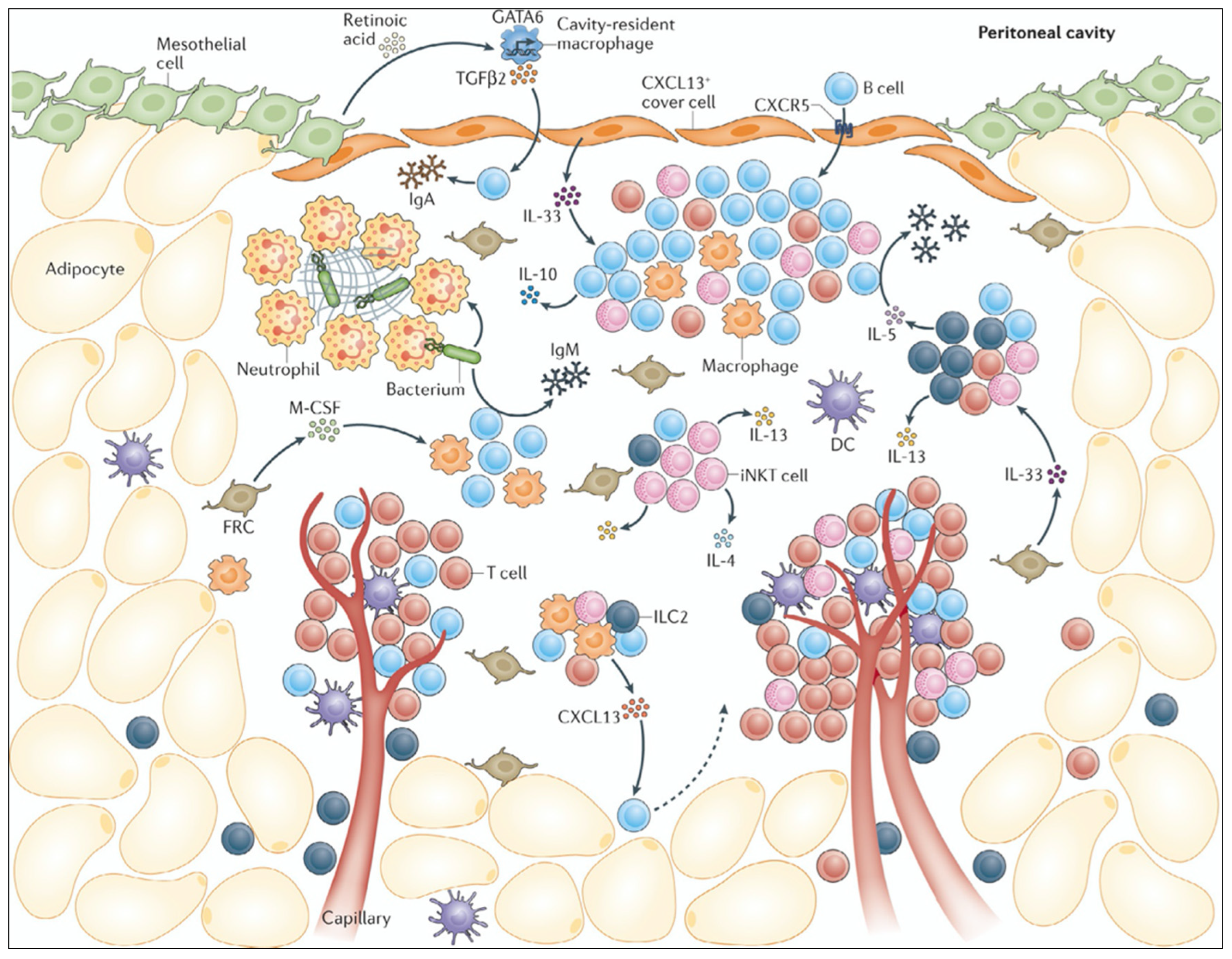 Cancers 15 04314 g001 Cancers 15 04314 g001