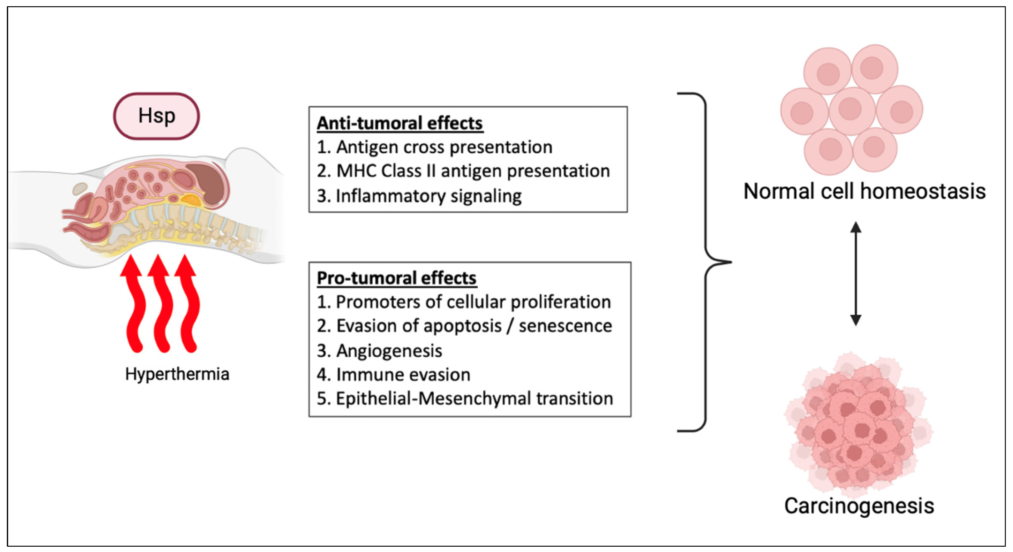 Cancers 15 04314 g002 Cancers 15 04314 g002