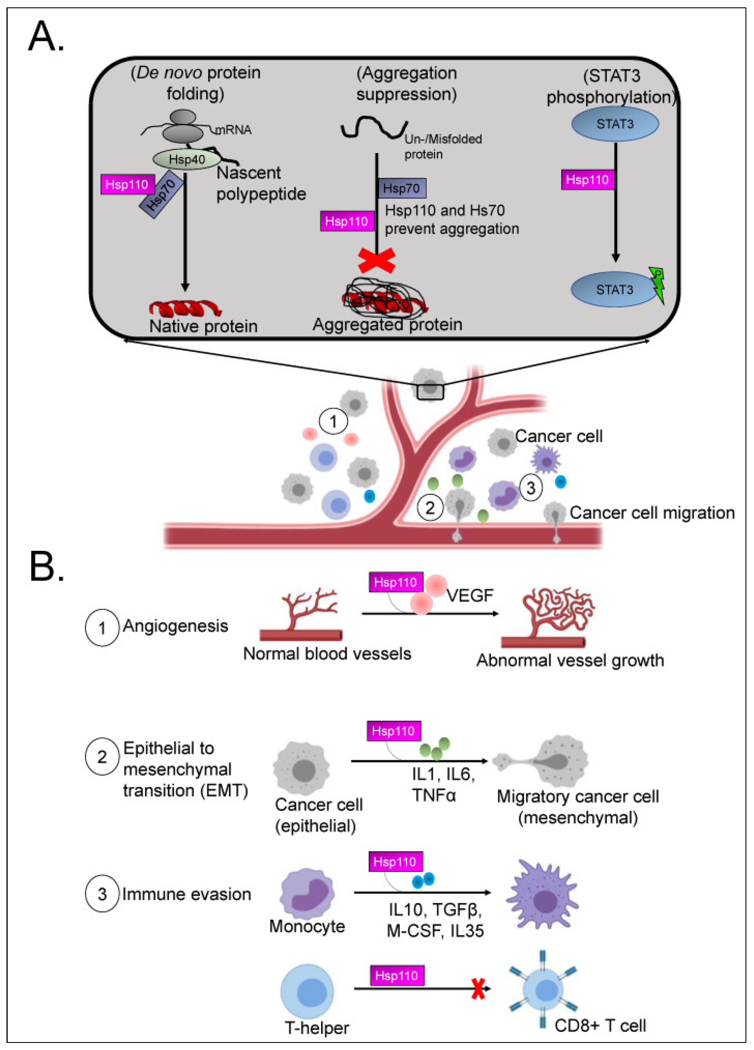Cancers 15 04314 g003 Cancers 15 04314 g003