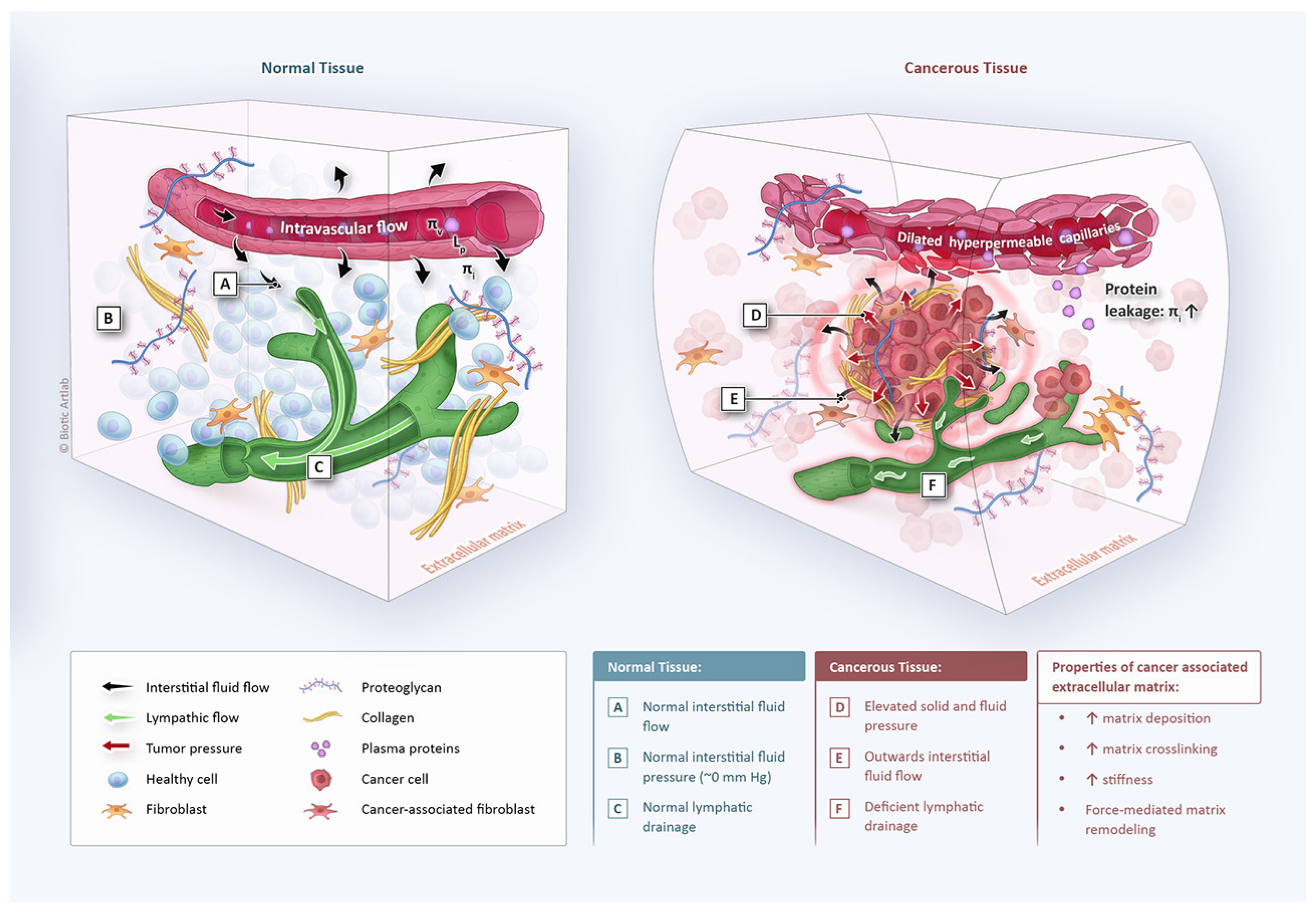 Cancers 15 04314 g004 Cancers 15 04314 g004