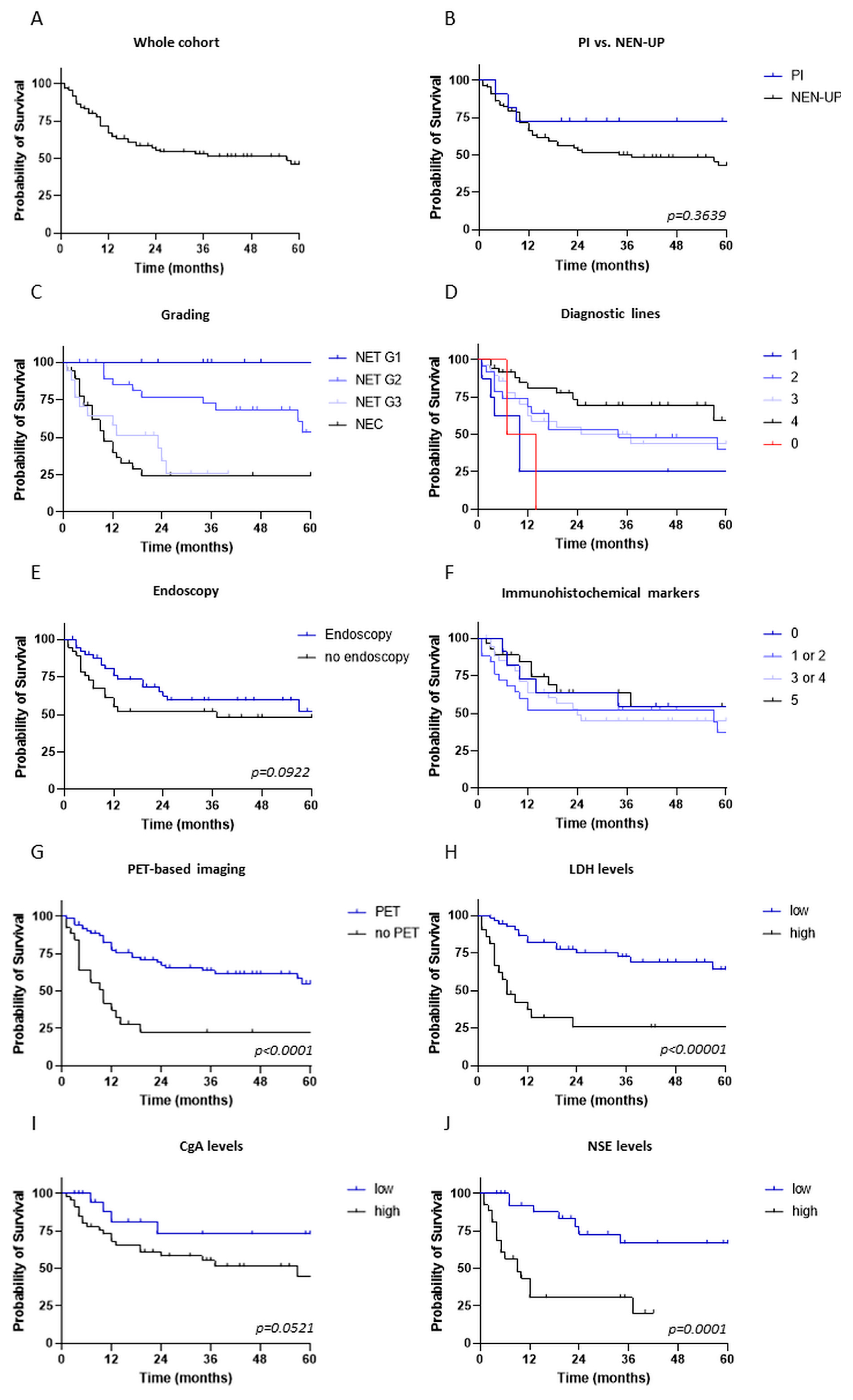 Cancers 15 04316 g003 Cancers 15 04316 g003