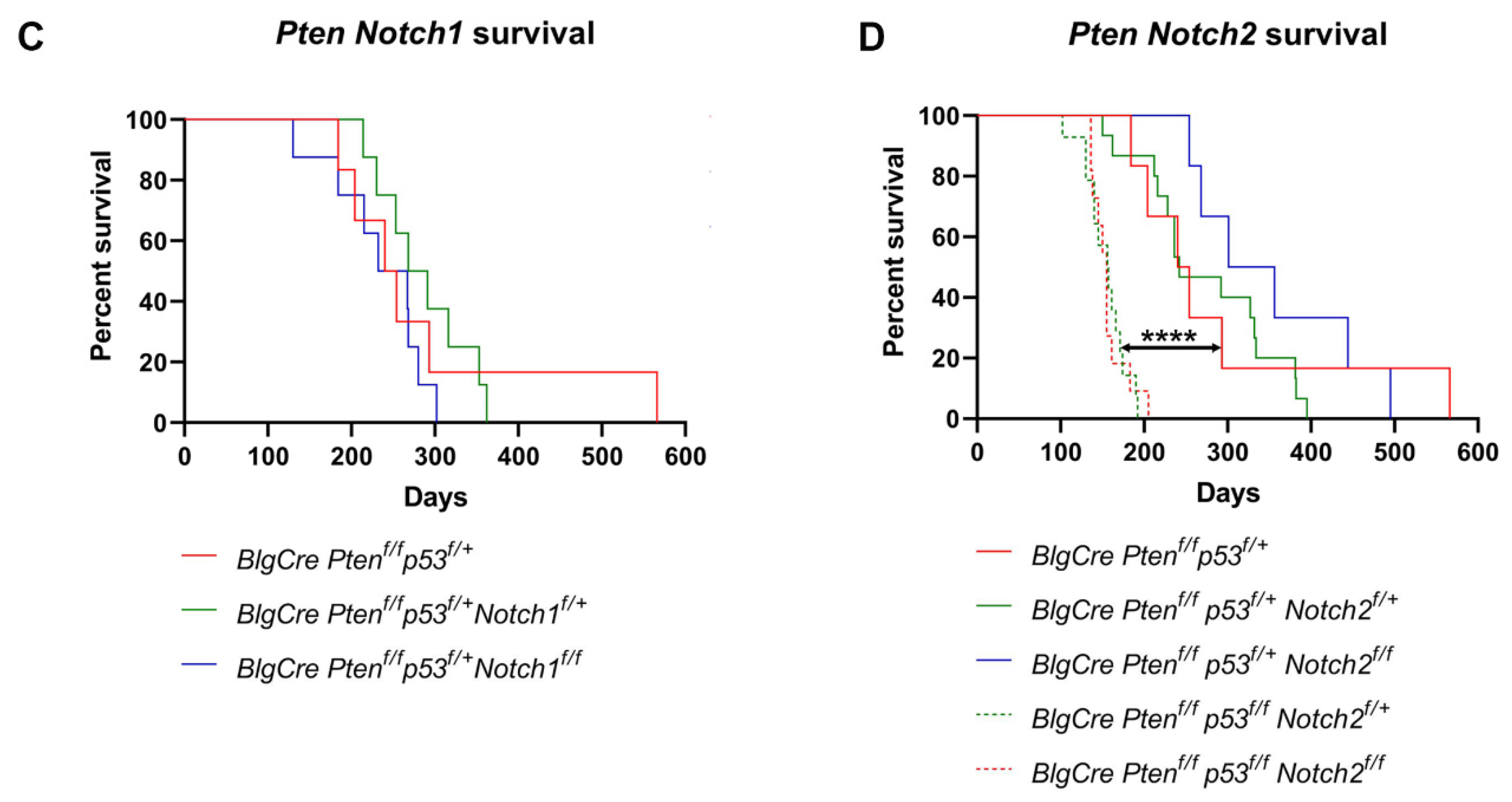 Cancers 15 04324 g002b