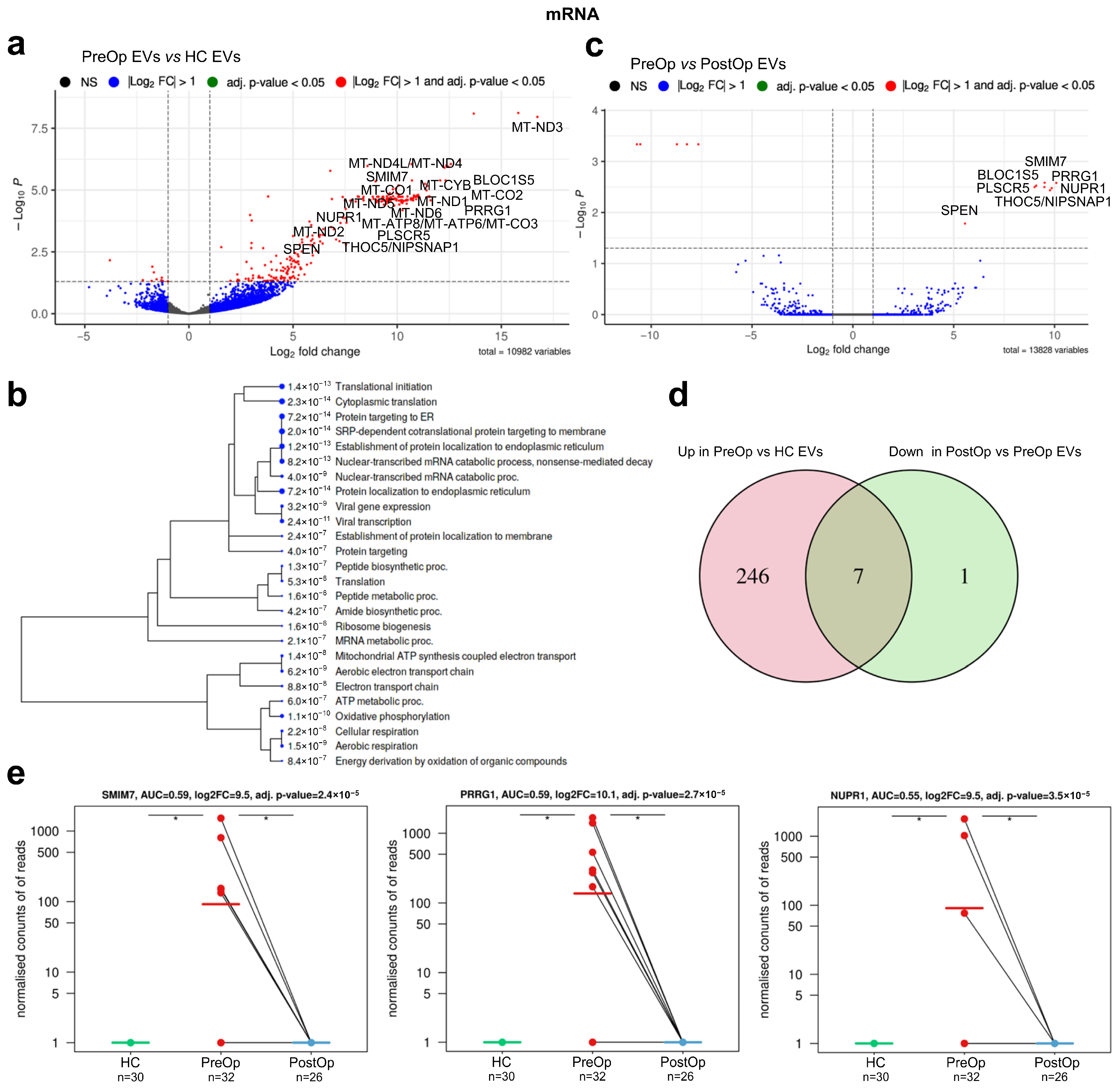Cancers 15 04329 g003
