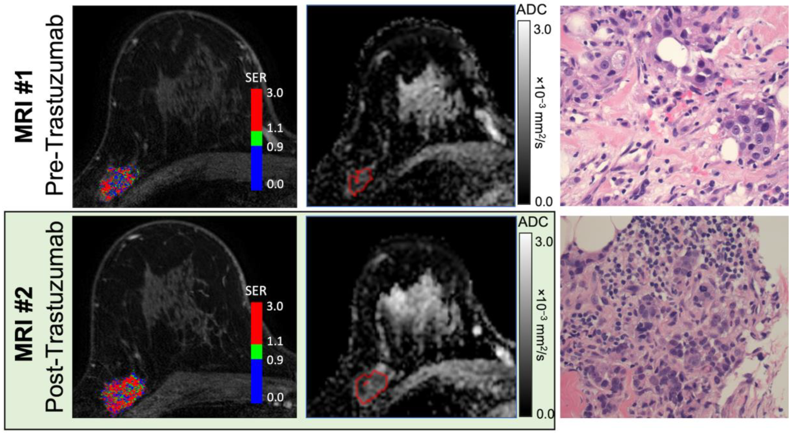 Cancers 15 04337 g002