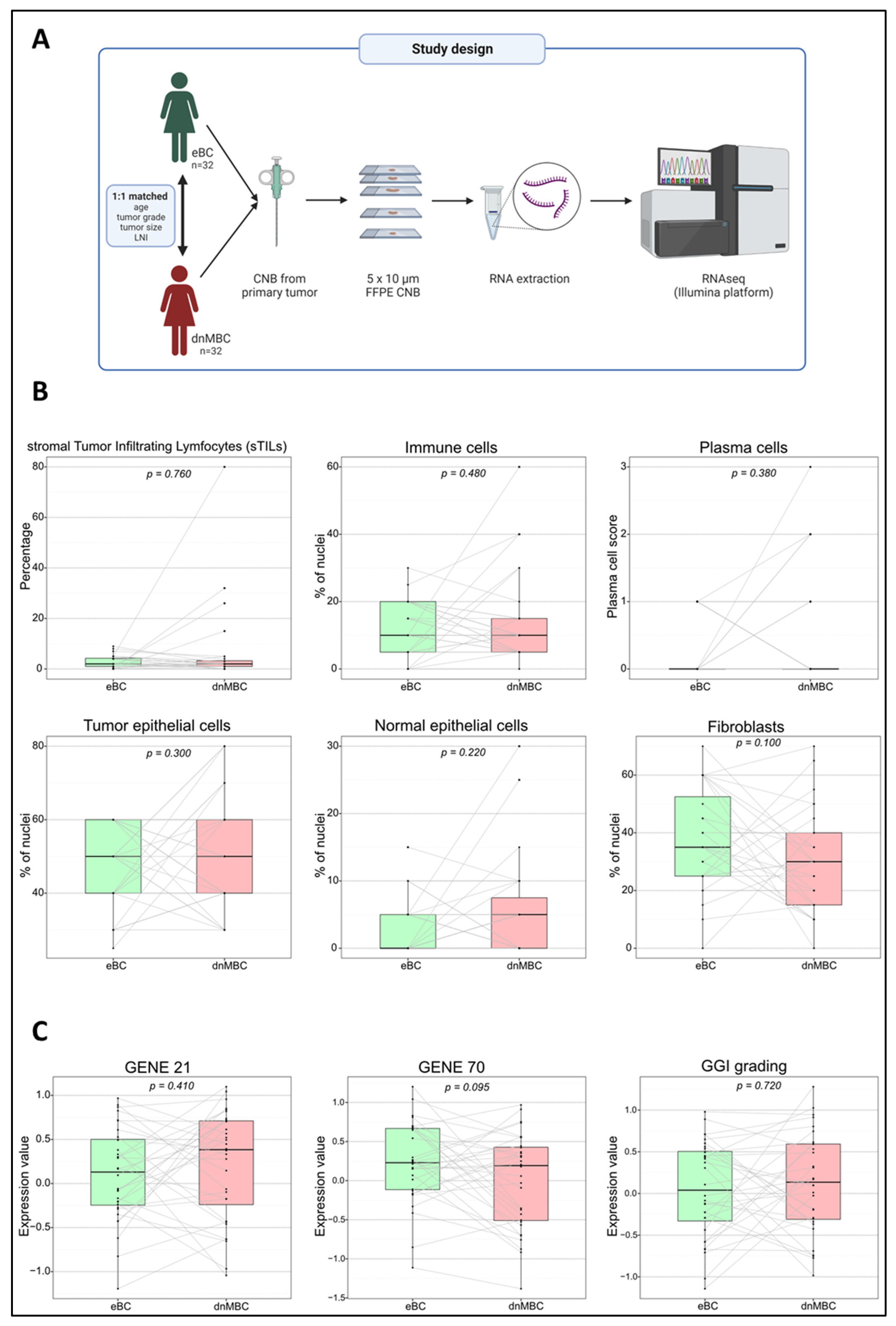 Cancers 15 04341 g001