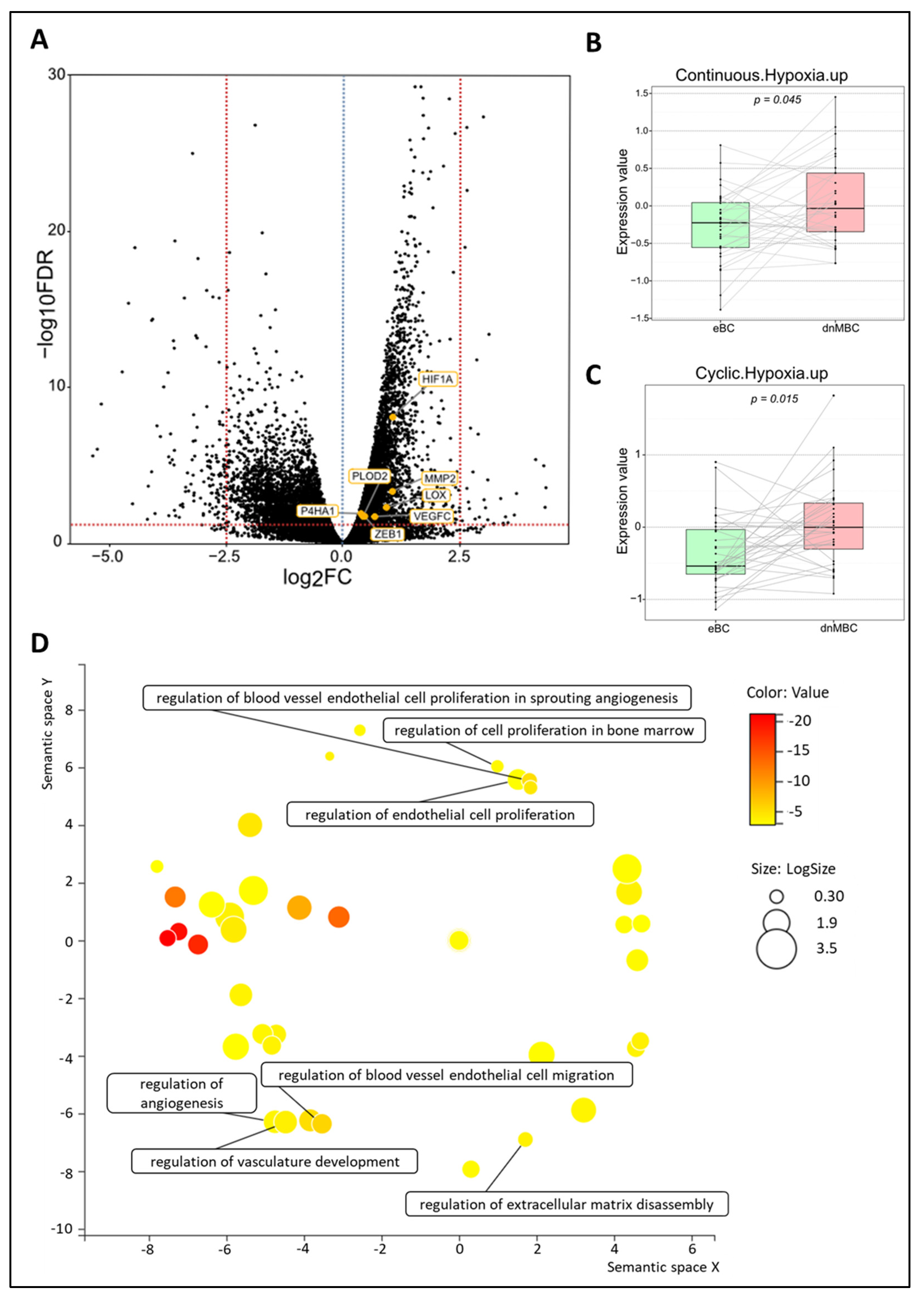 Cancers 15 04341 g002