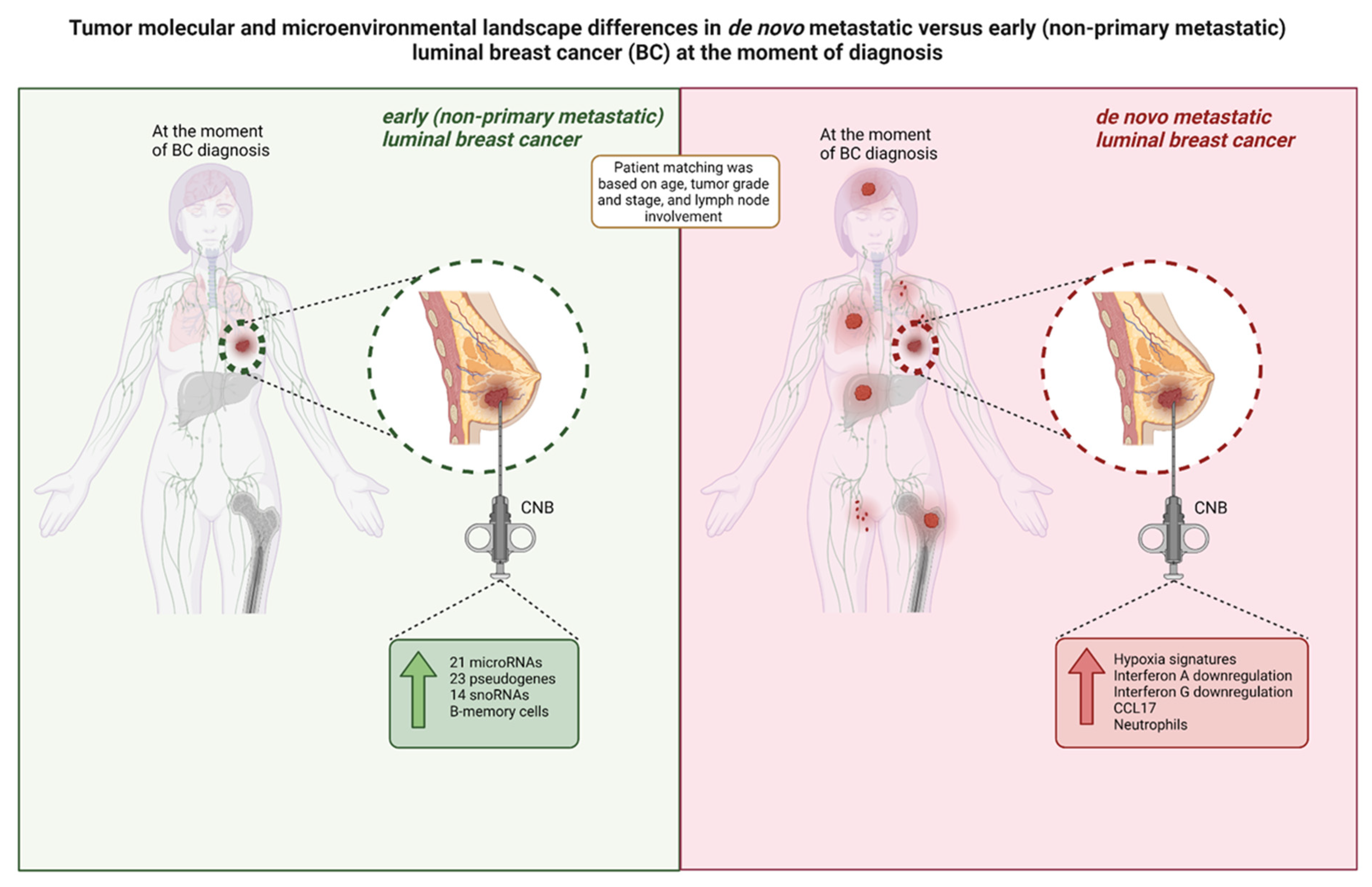 Cancers 15 04341 g005