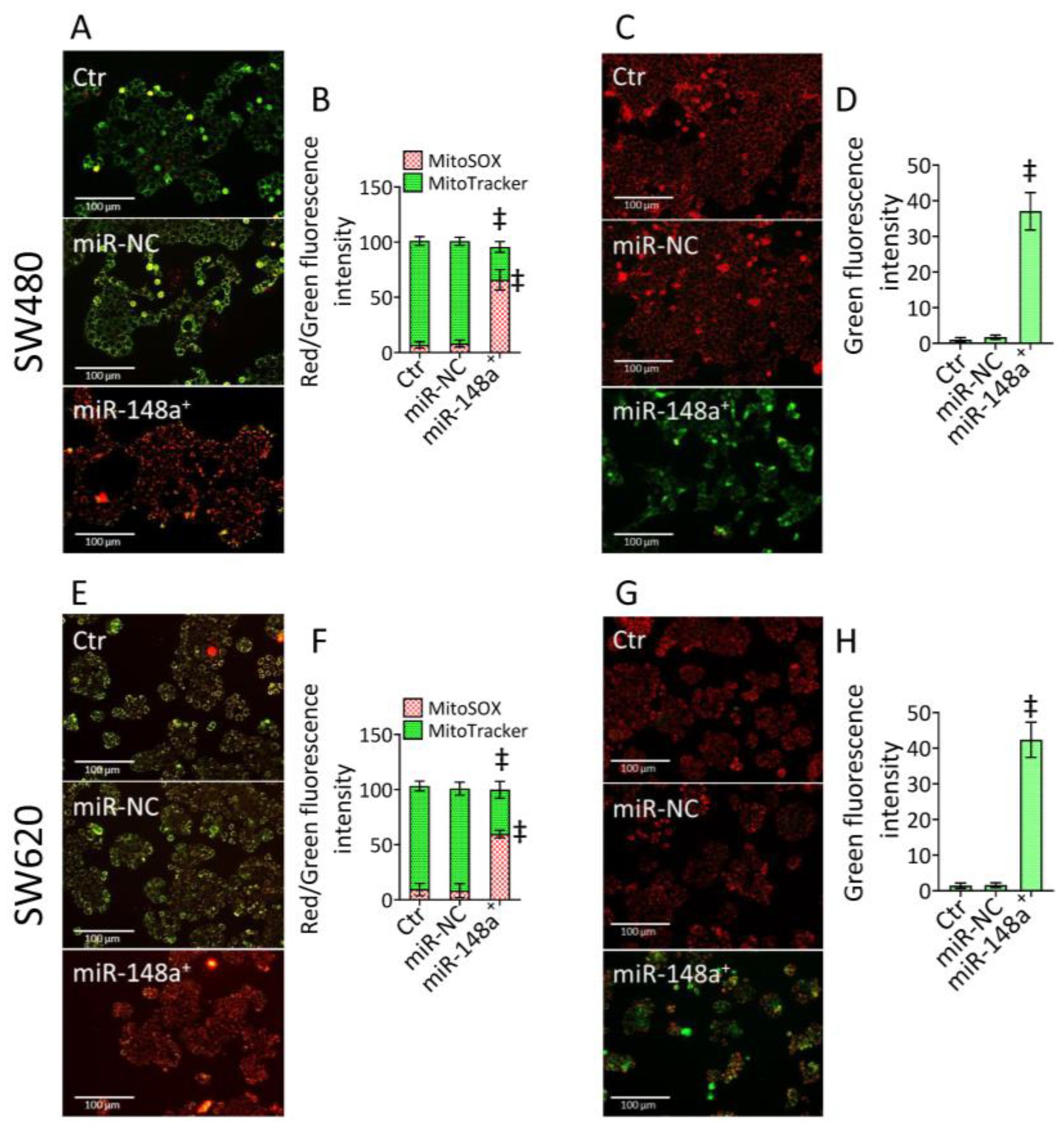 Cancers 15 04342 g003