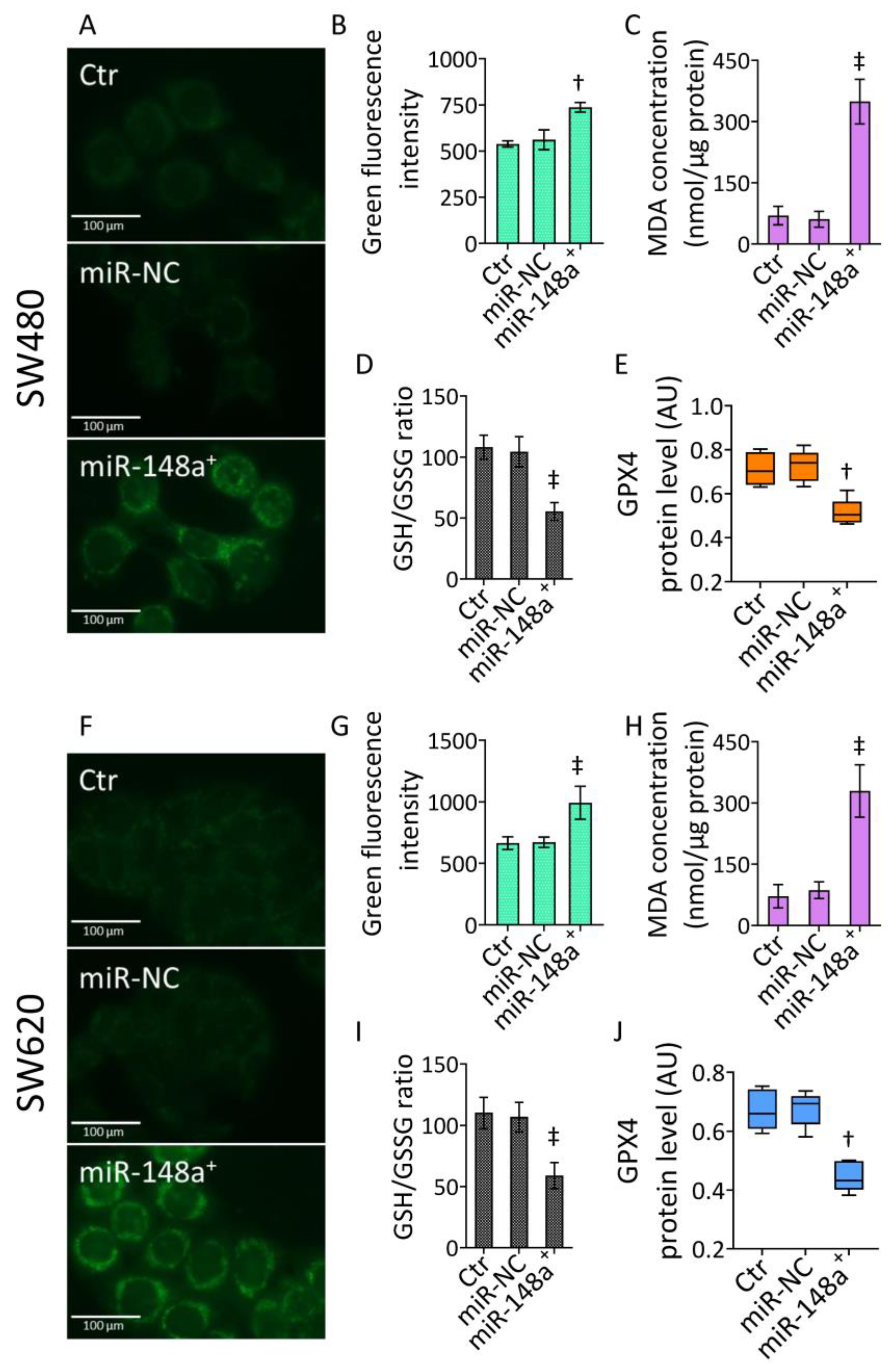 Cancers 15 04342 g004