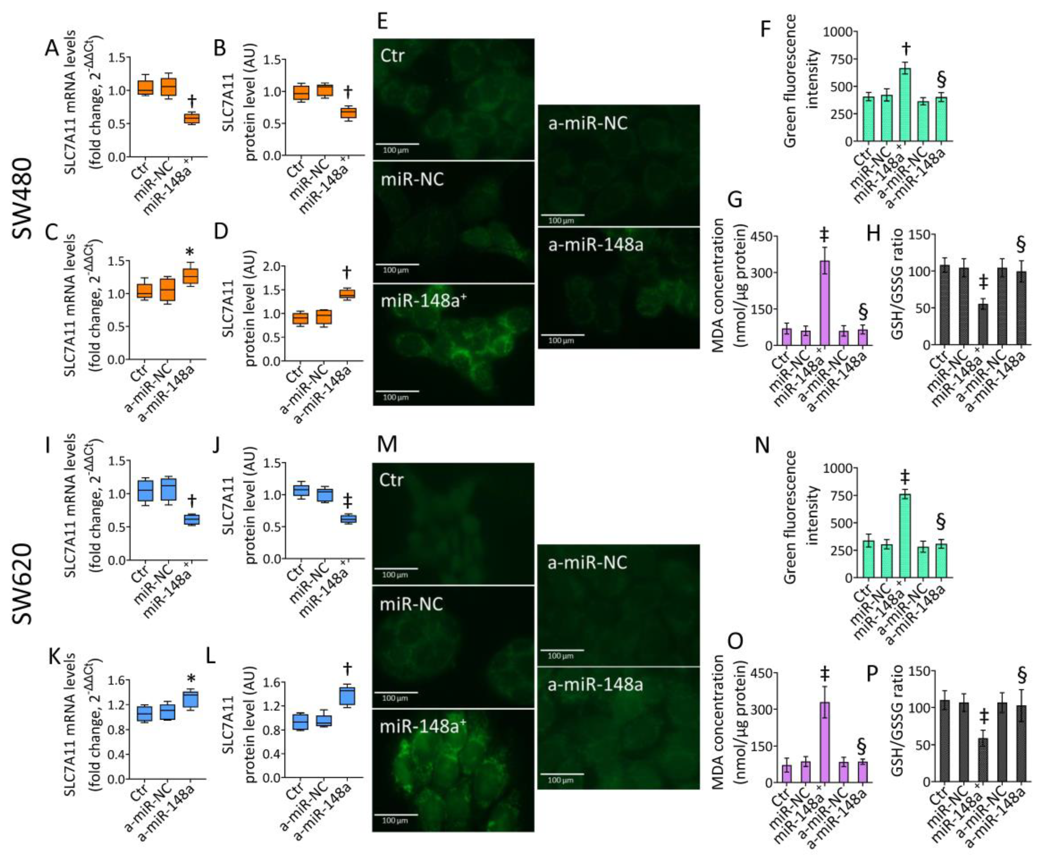 Cancers 15 04342 g006