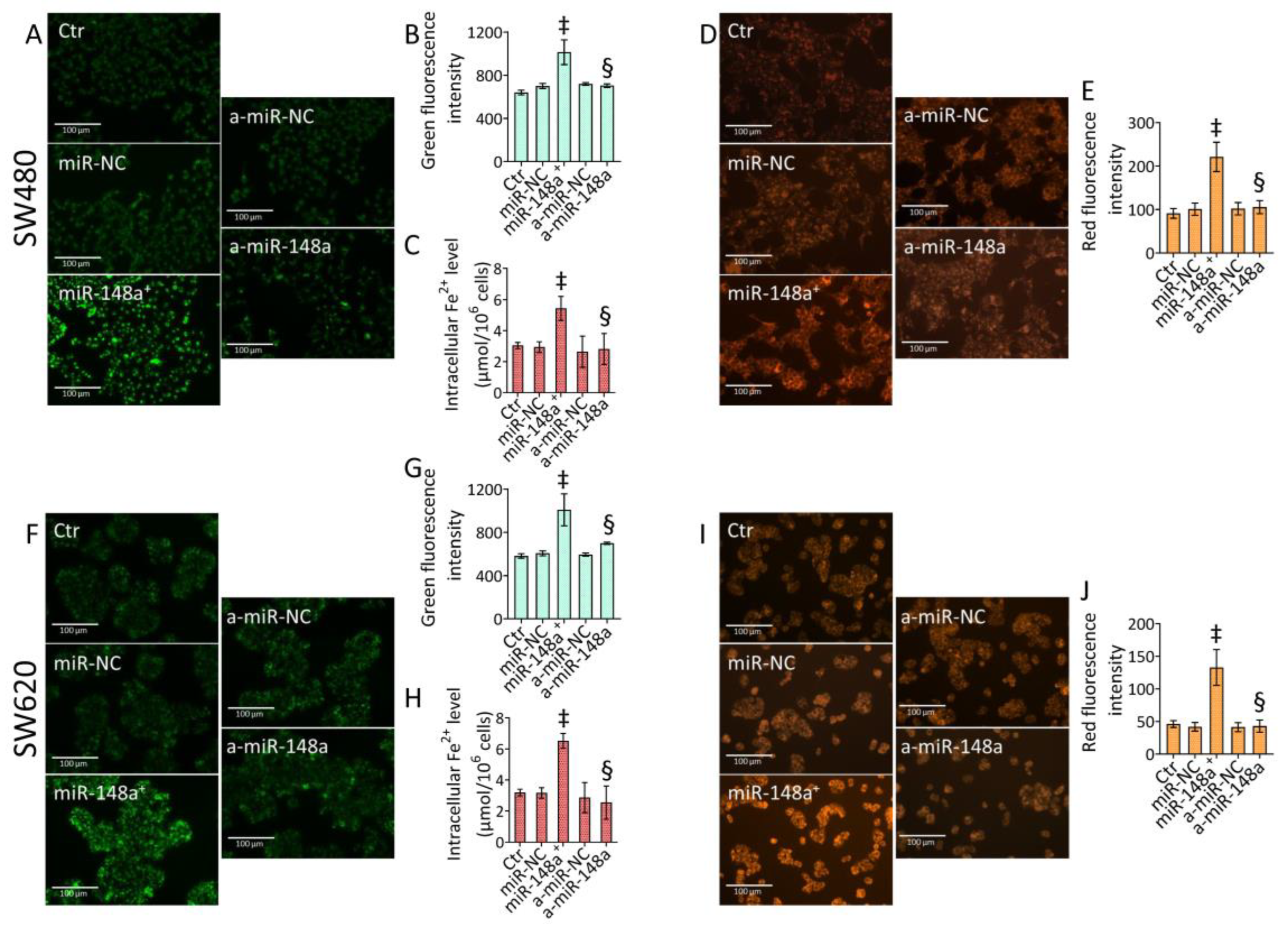 Cancers 15 04342 g007