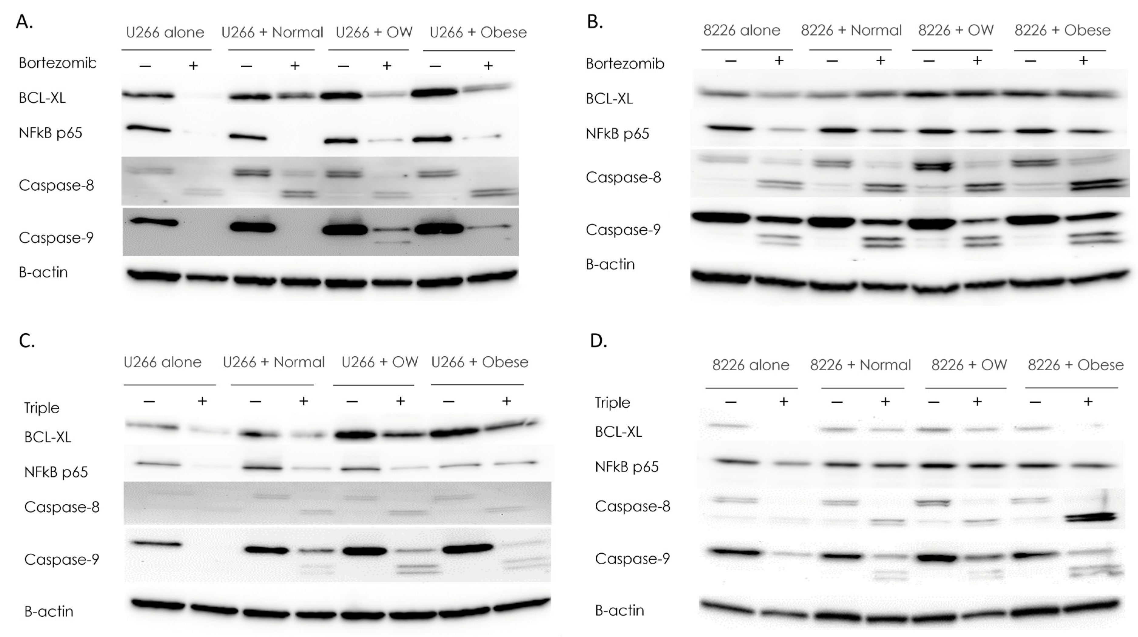 Cancers 15 04347 g002