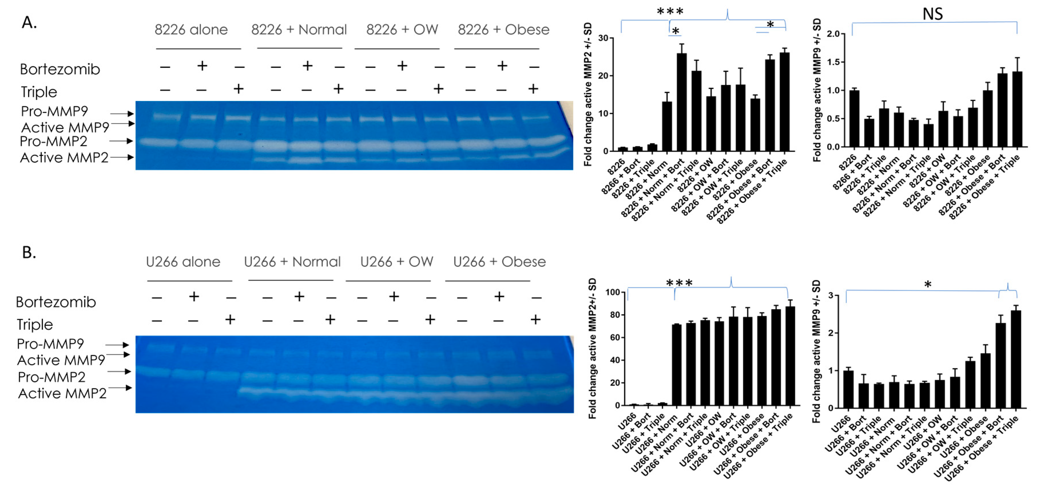 Cancers 15 04347 g005