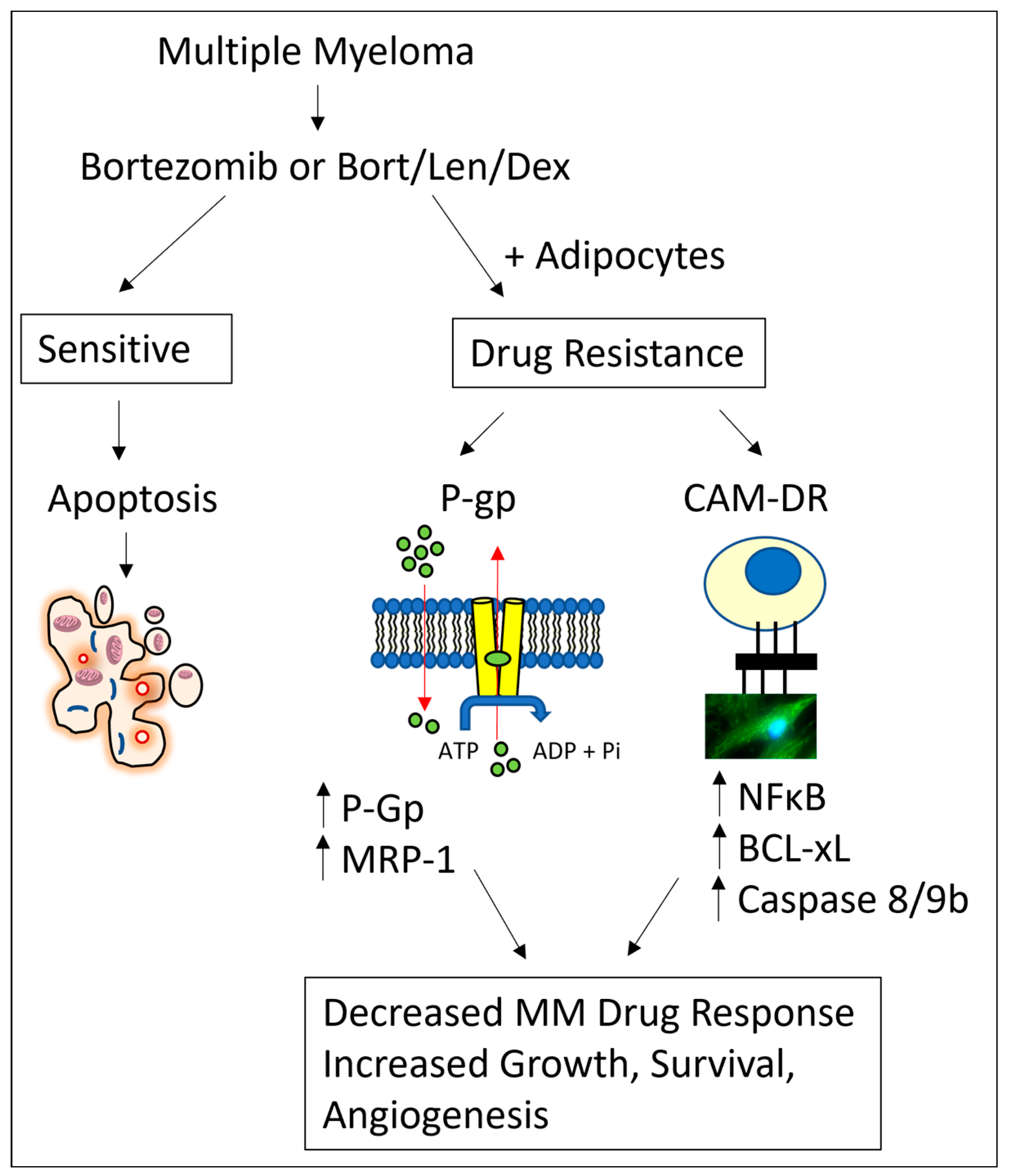 Cancers 15 04347 g006