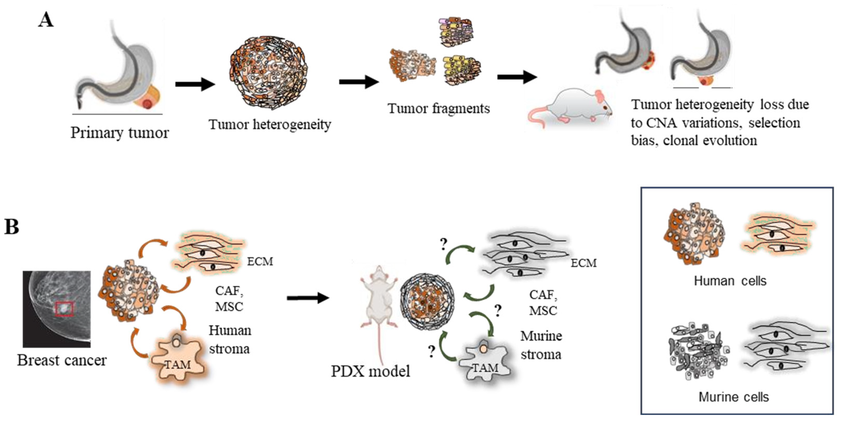 Cancers 15 04352 g003 Cancers 15 04352 g003