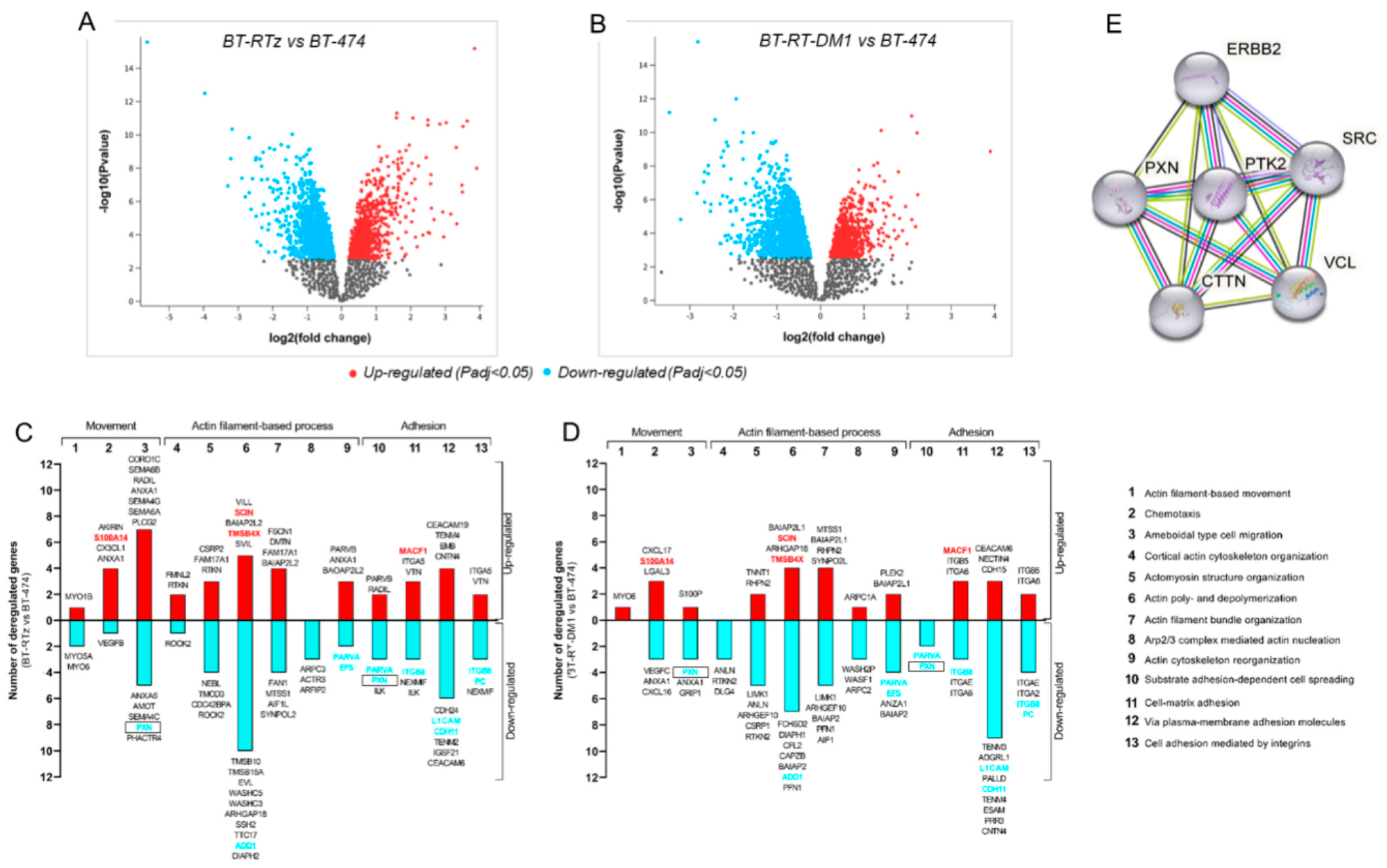 Cancers 15 04374 g001