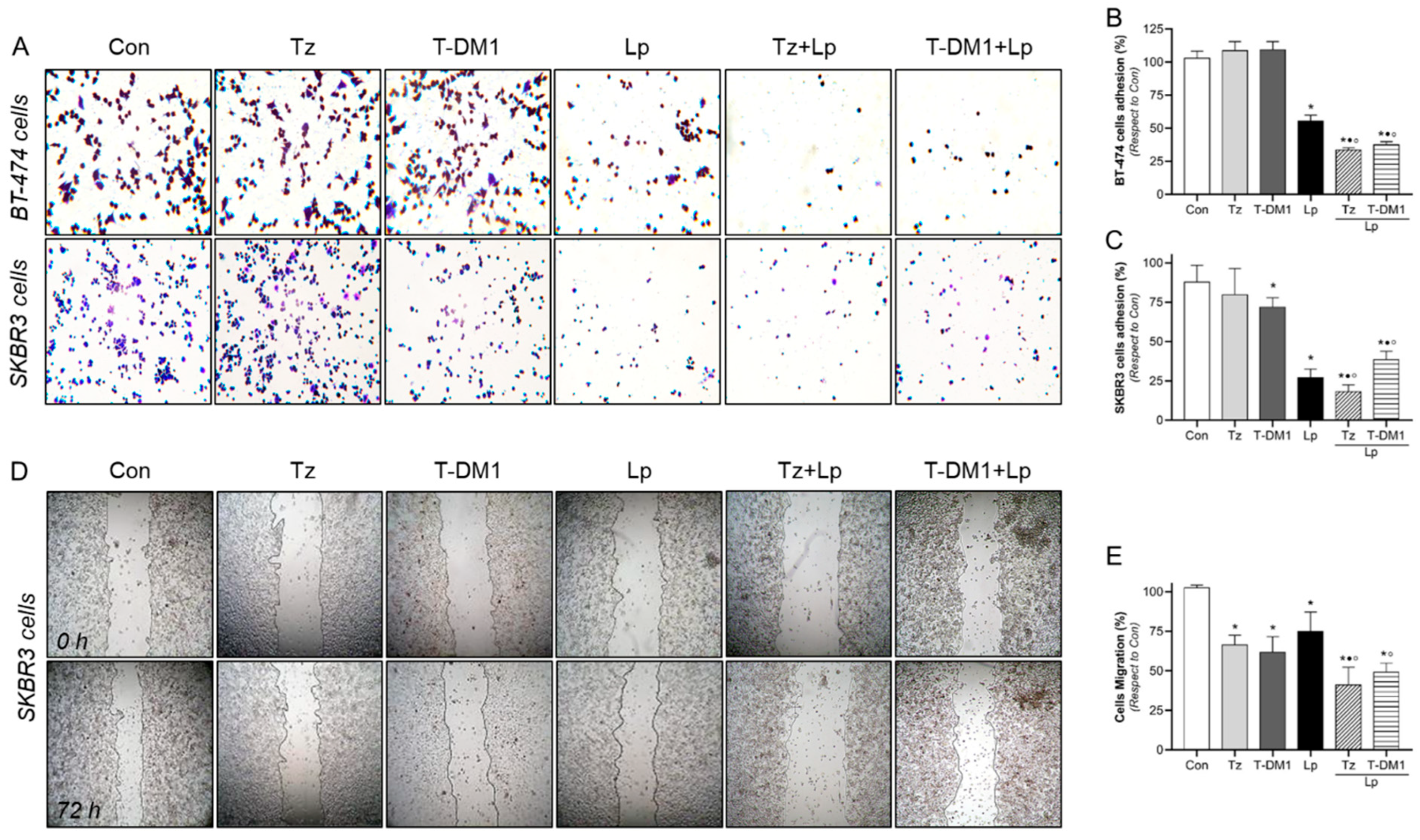 Cancers 15 04374 g004