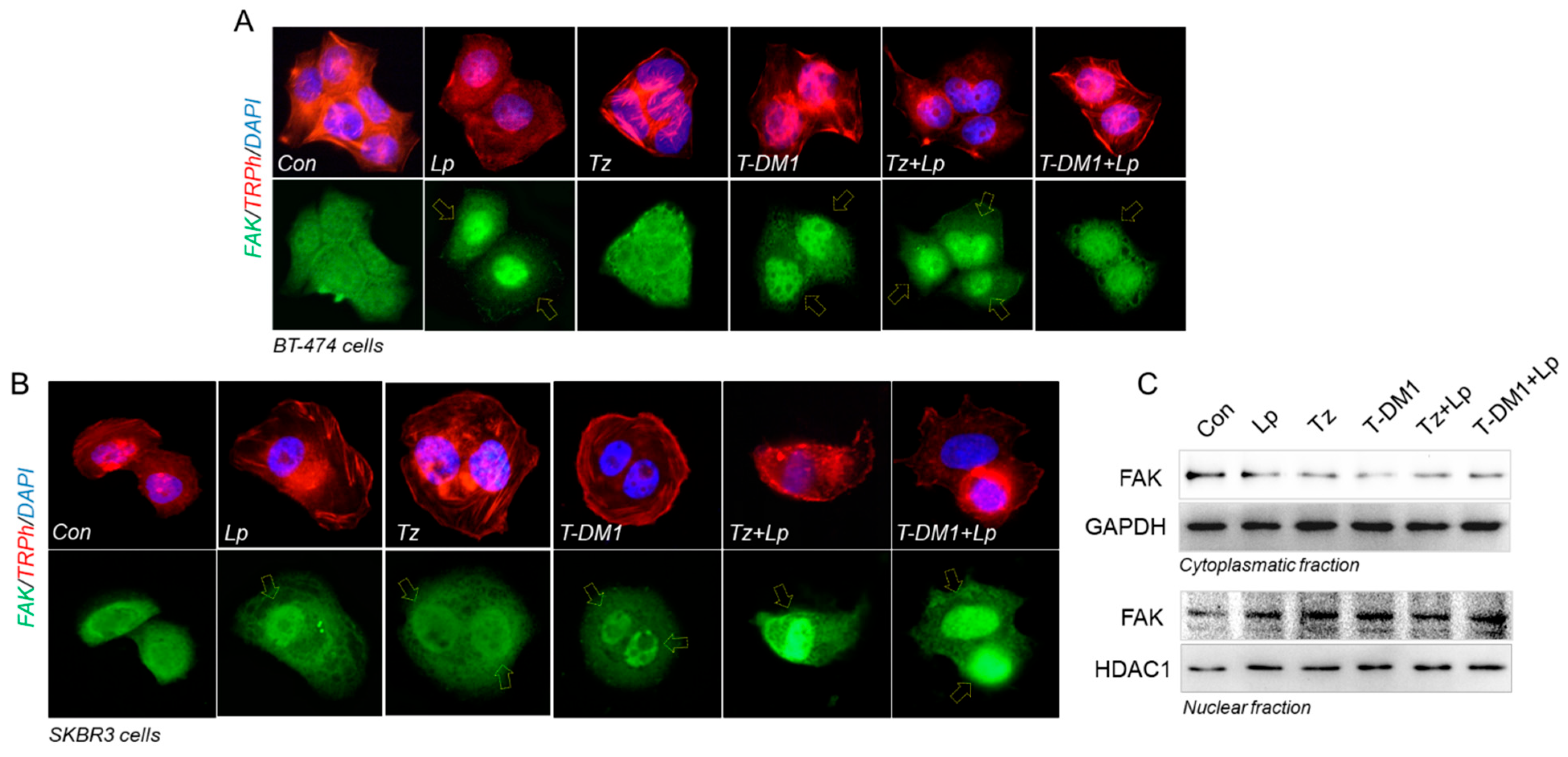 Cancers 15 04374 g007a
