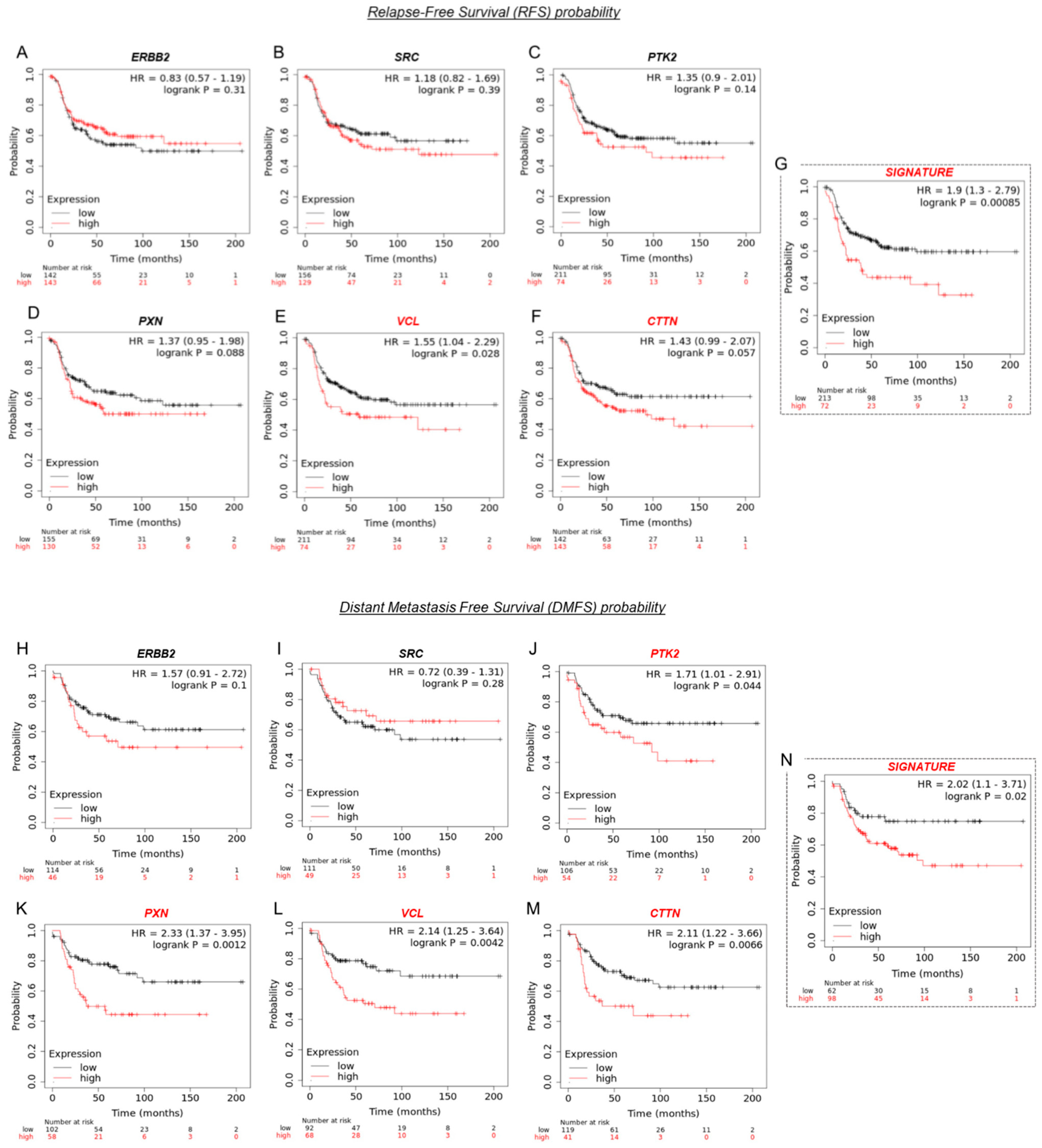 Cancers 15 04374 g008