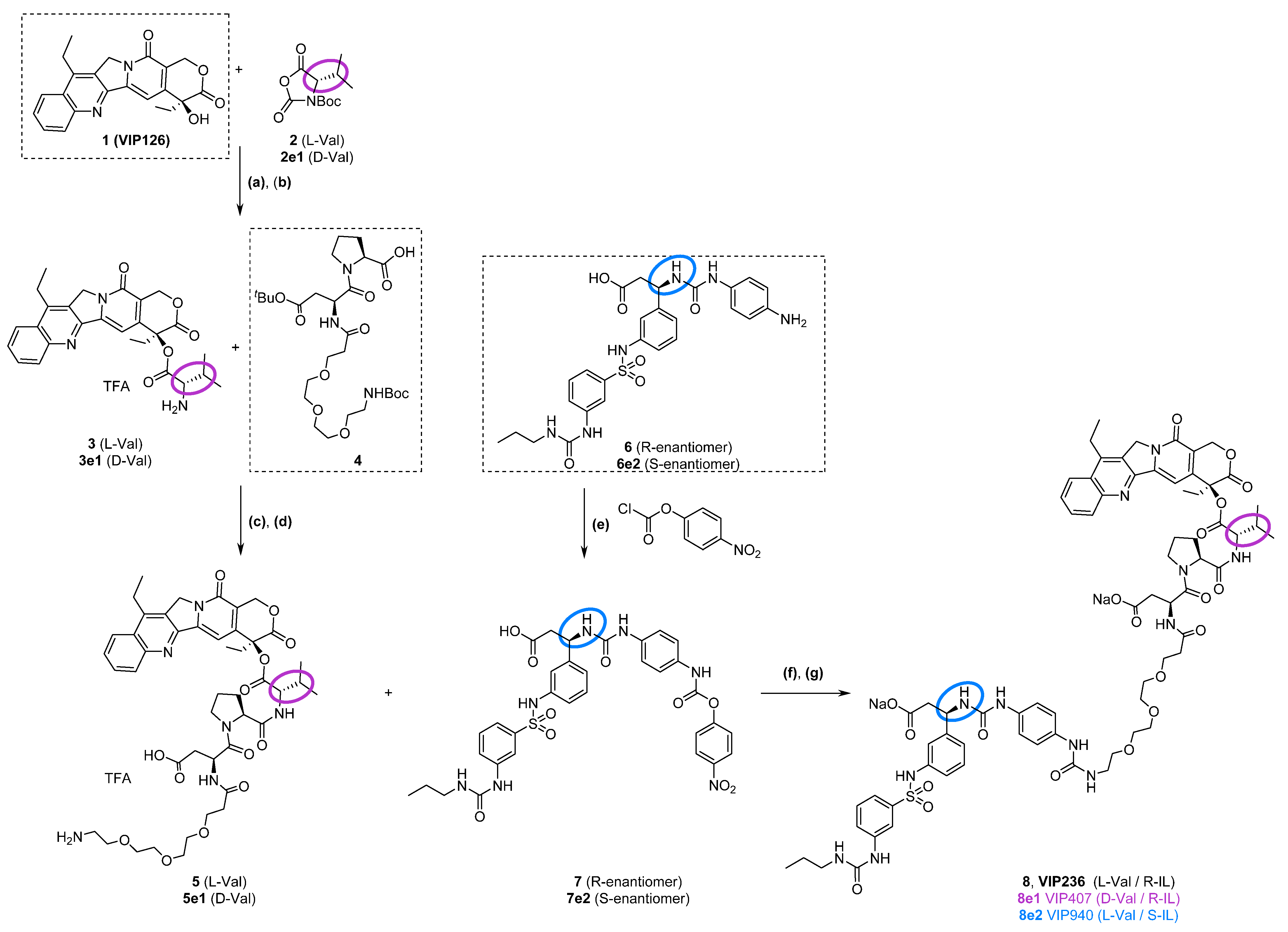 Cancers 15 04381 sch001