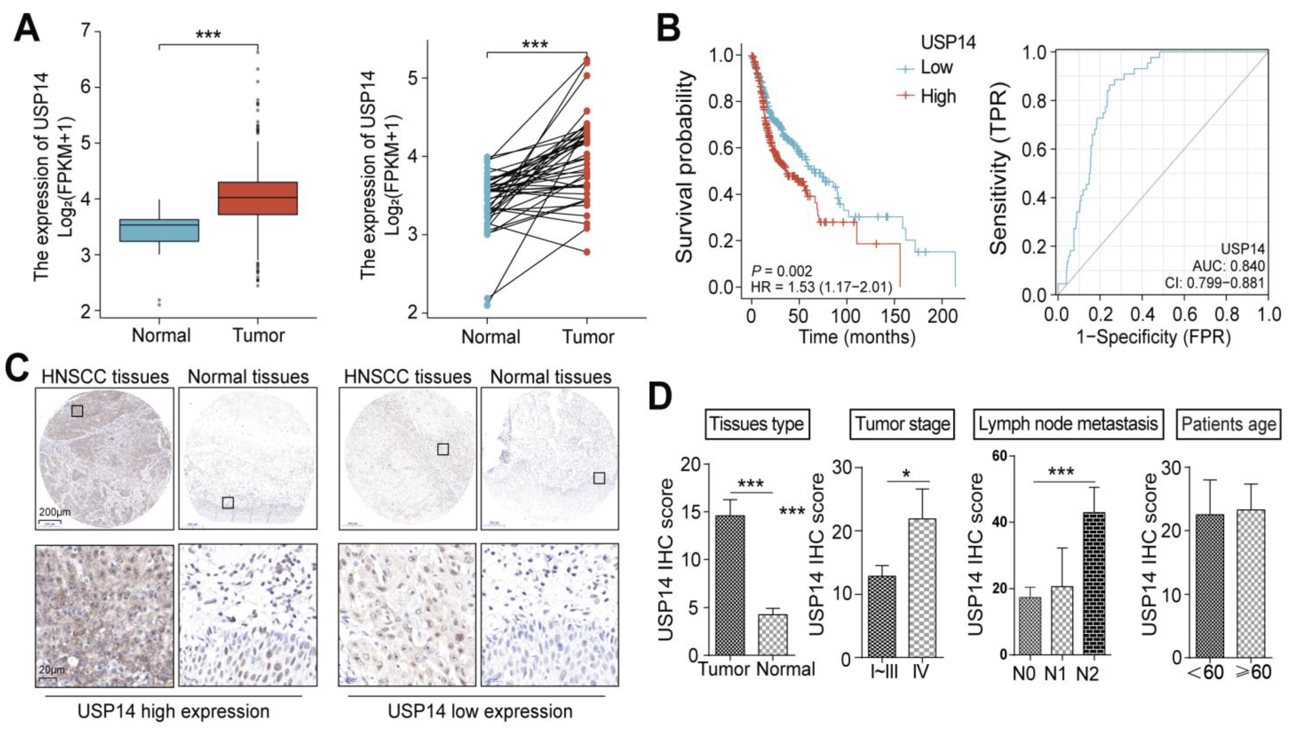 Cancers 15 04385 g002