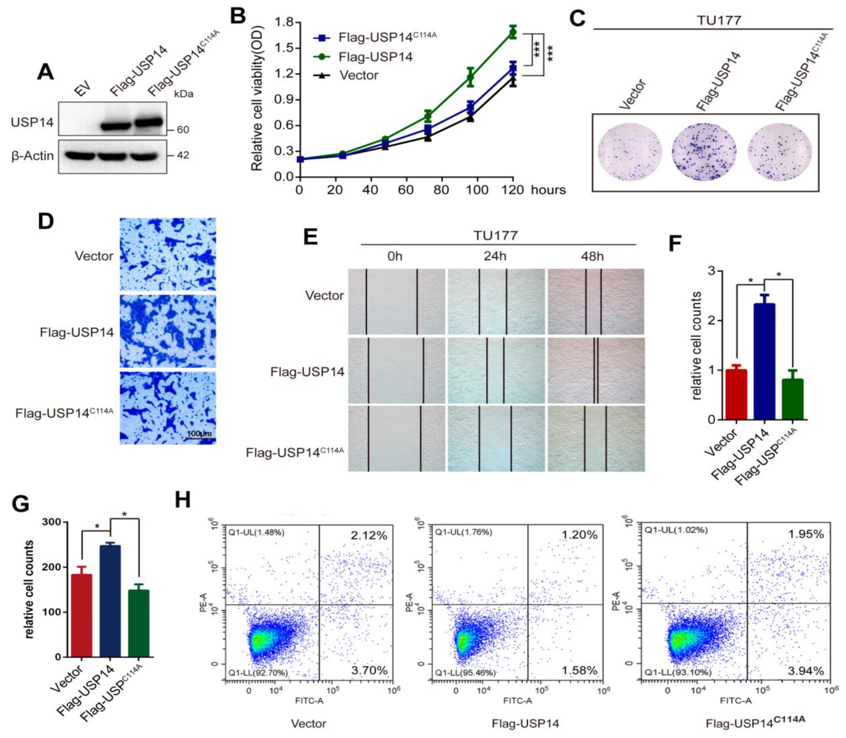 Cancers 15 04385 g004