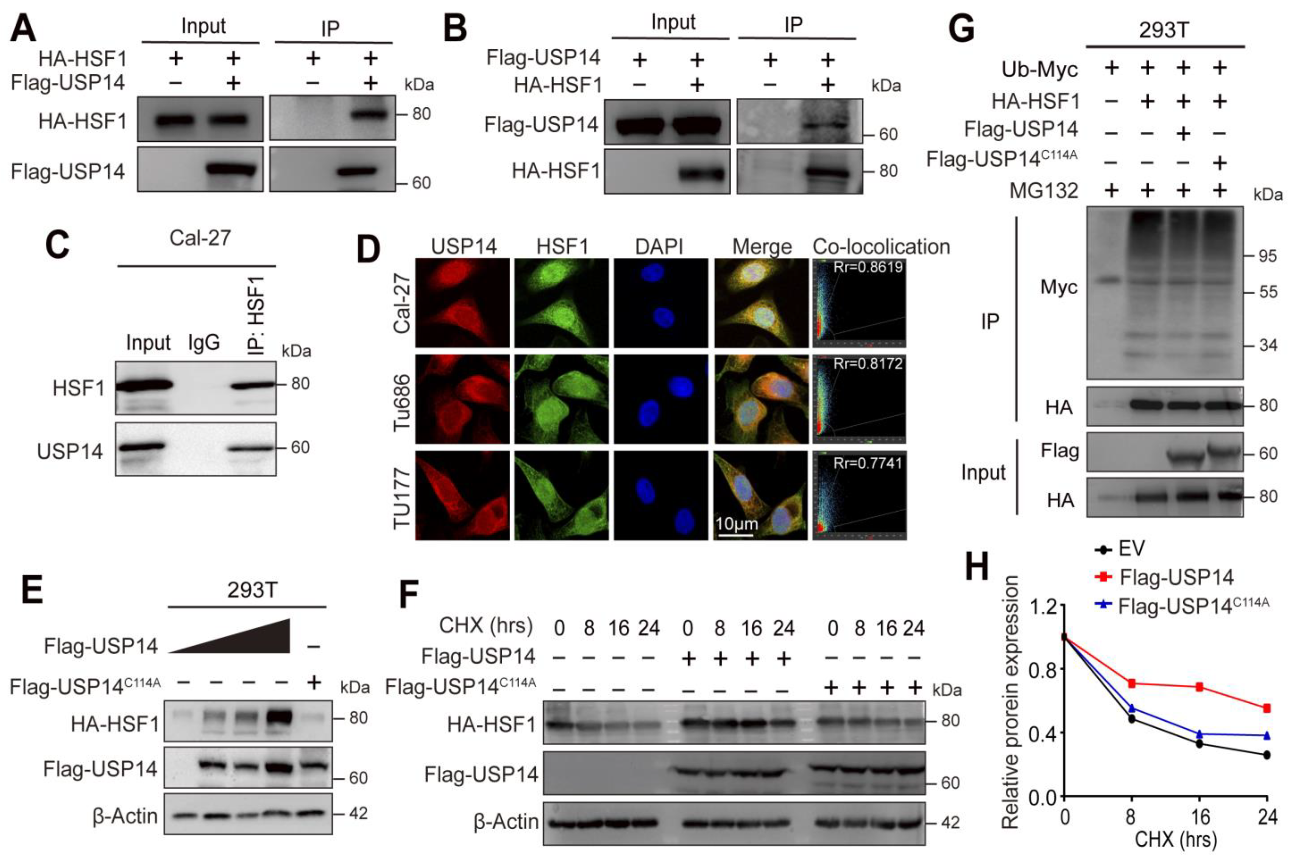 Cancers 15 04385 g006