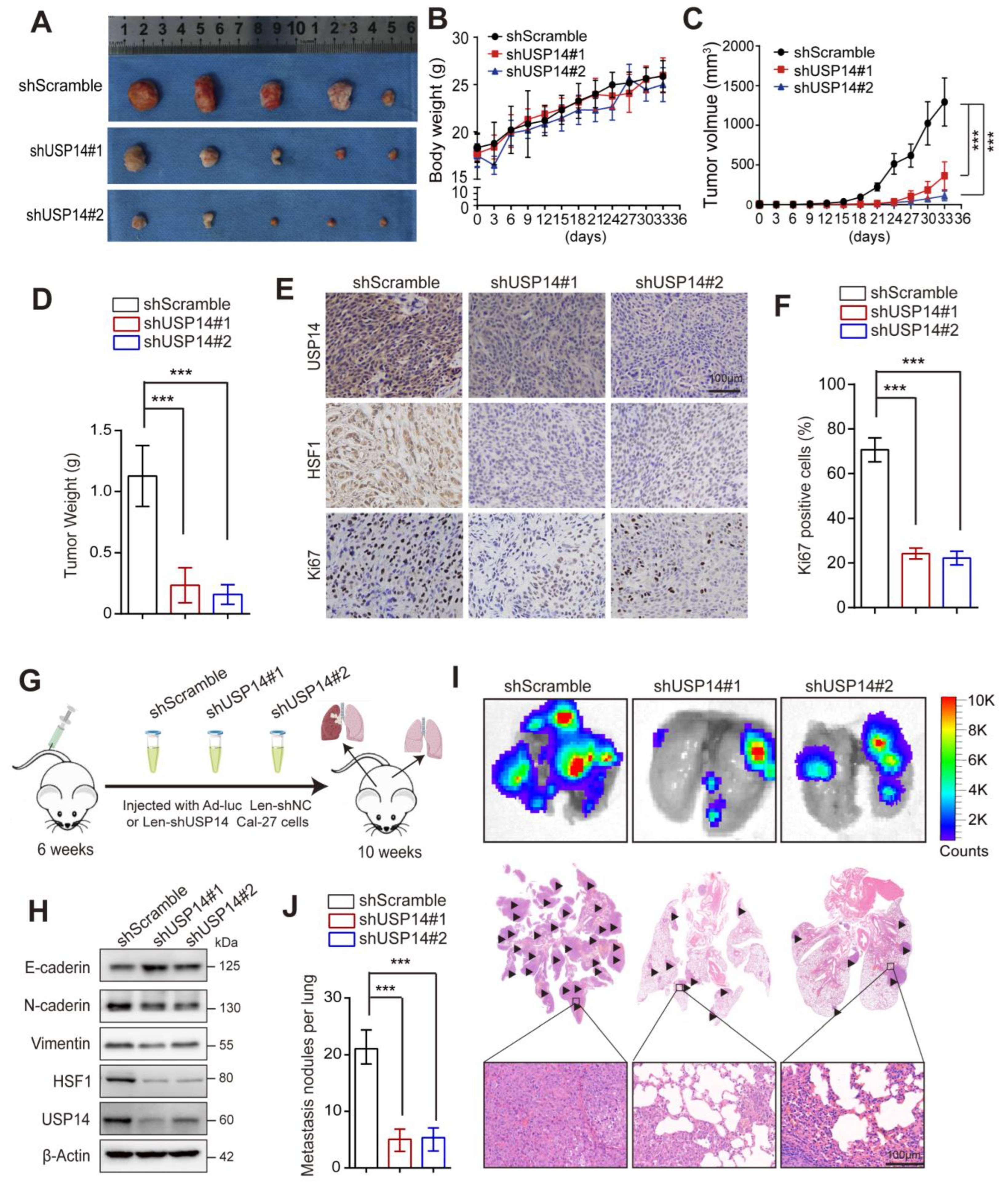 Cancers 15 04385 g008