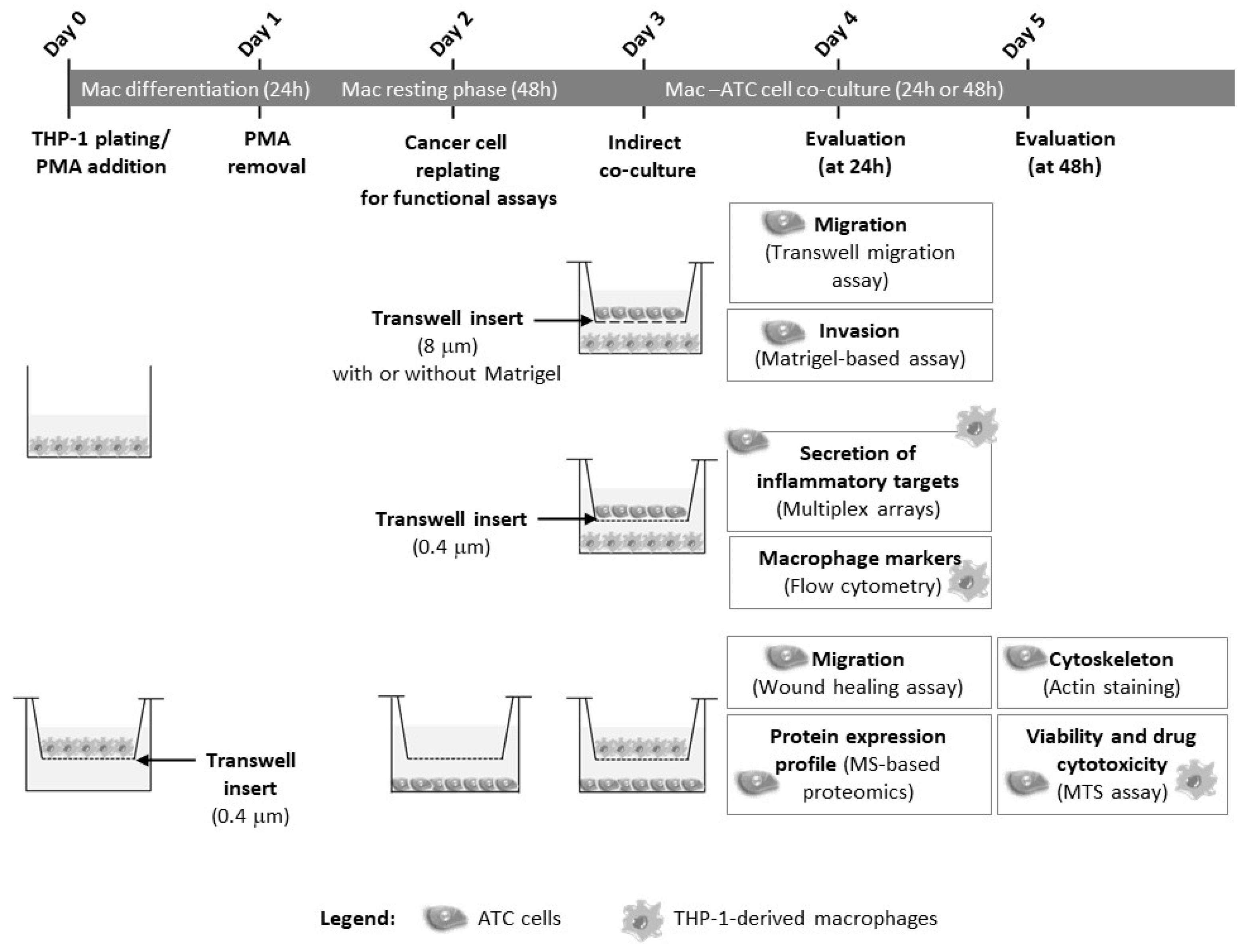 Cancers 15 04387 g001