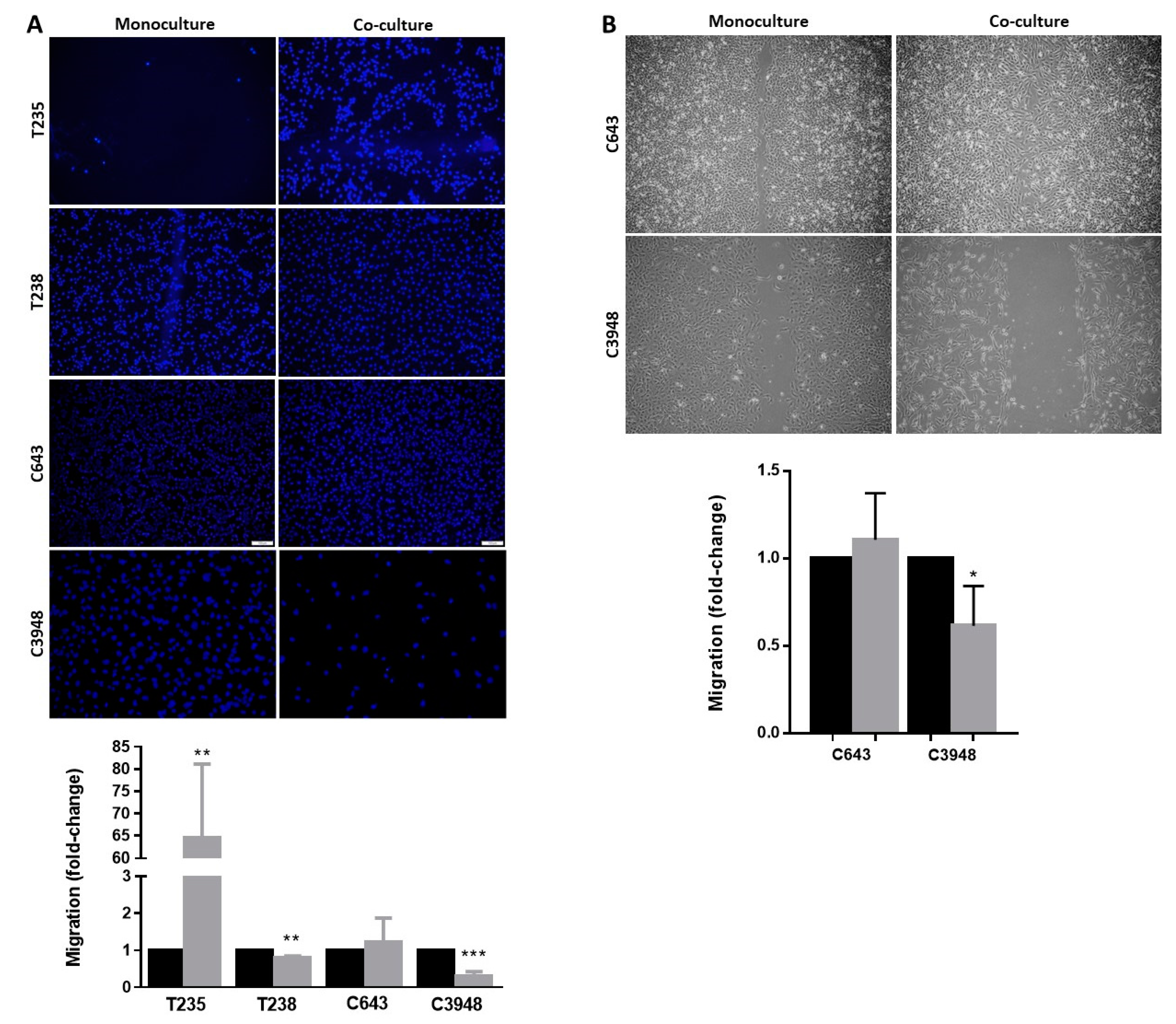 Cancers 15 04387 g003