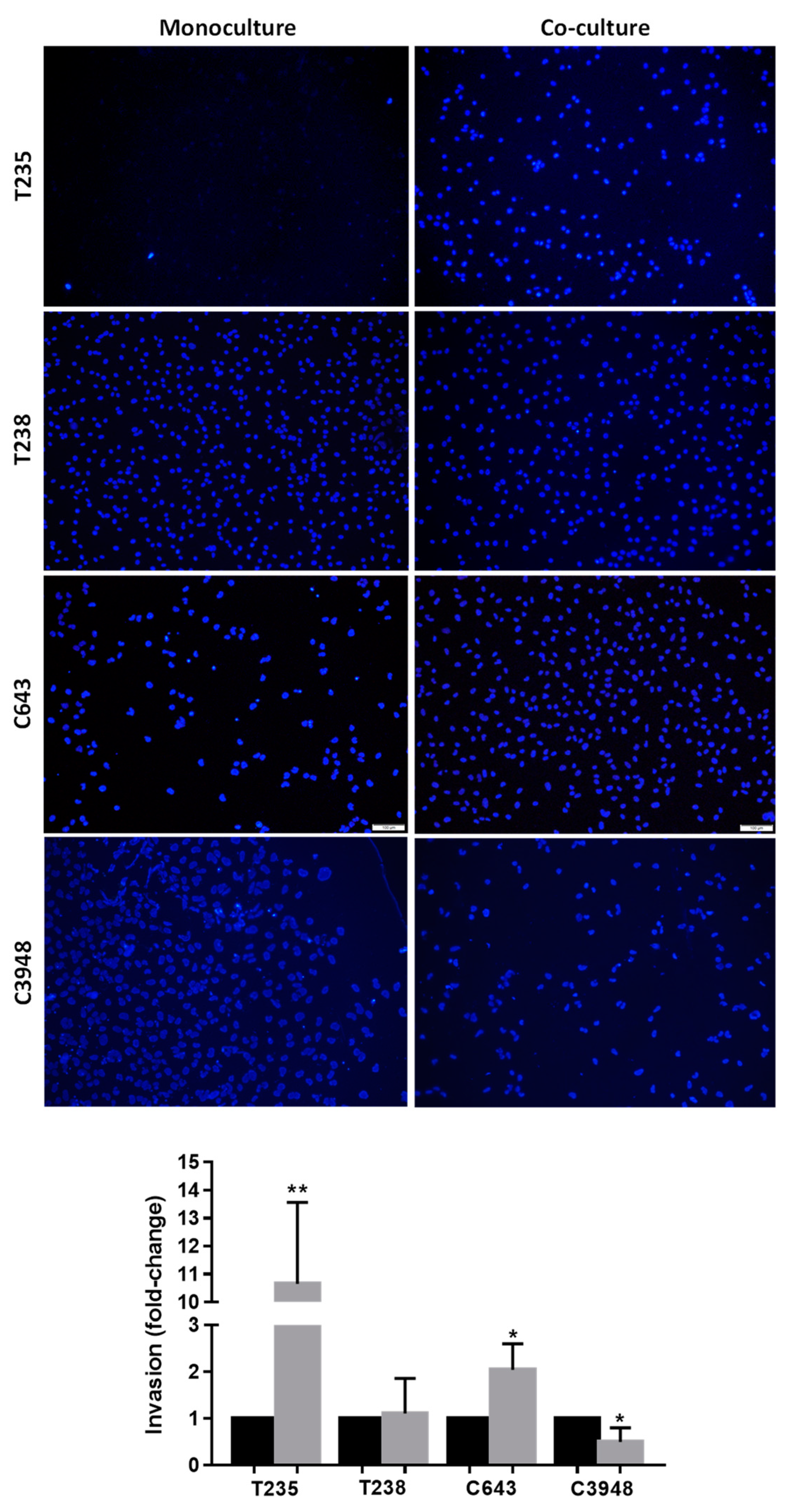 Cancers 15 04387 g004